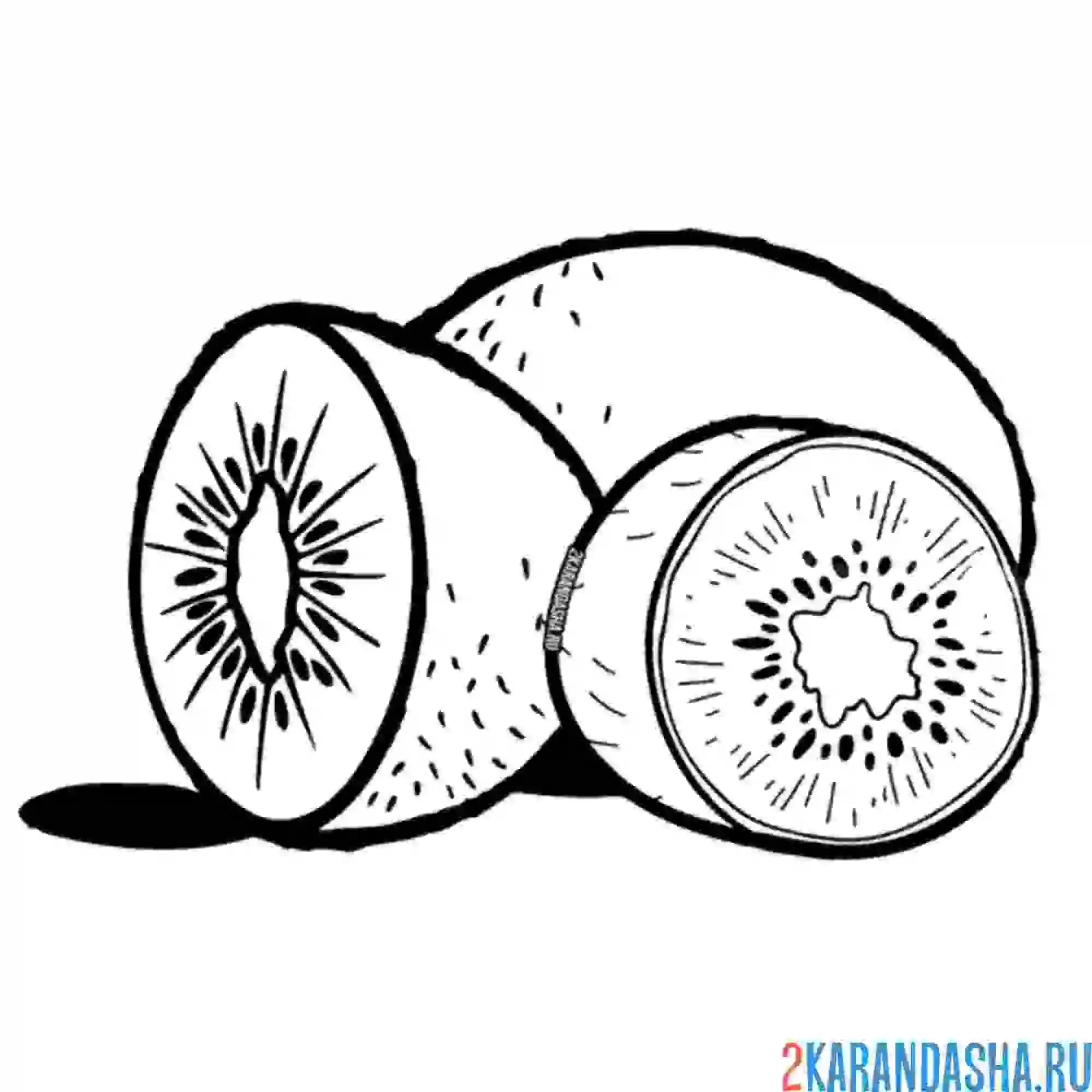 Раскраска три киви