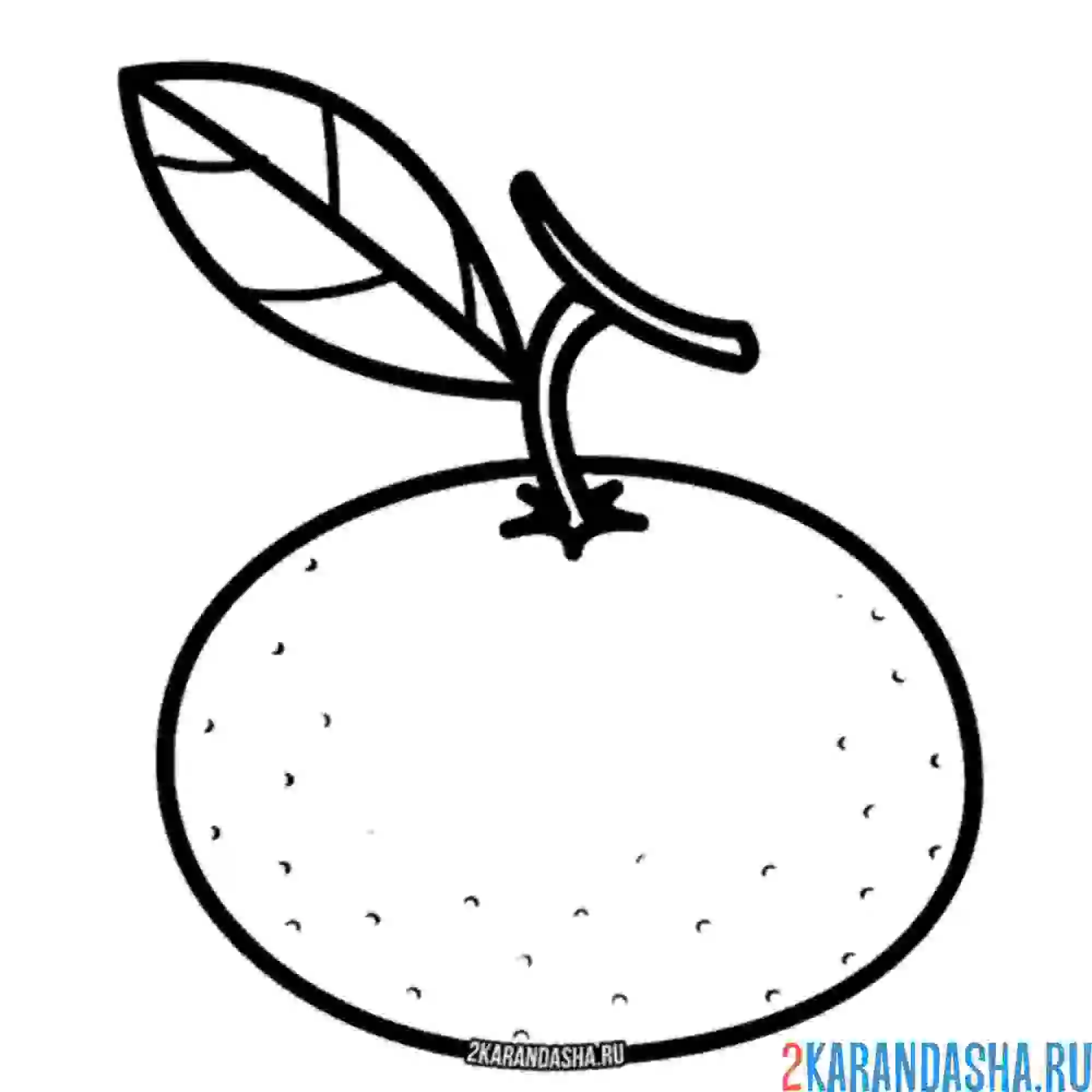 Раскраска мандарин с листочком
