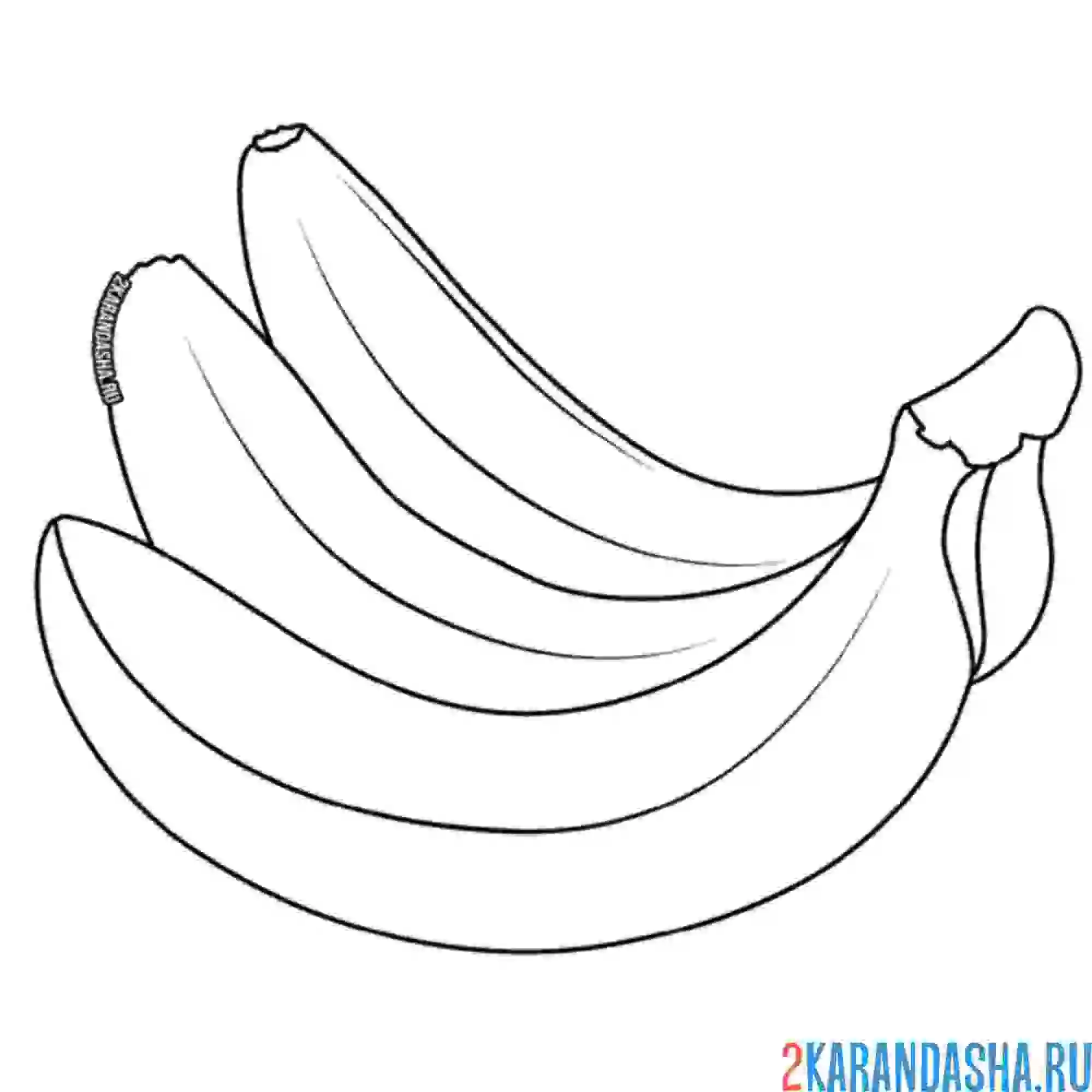 Раскраска связка бананов