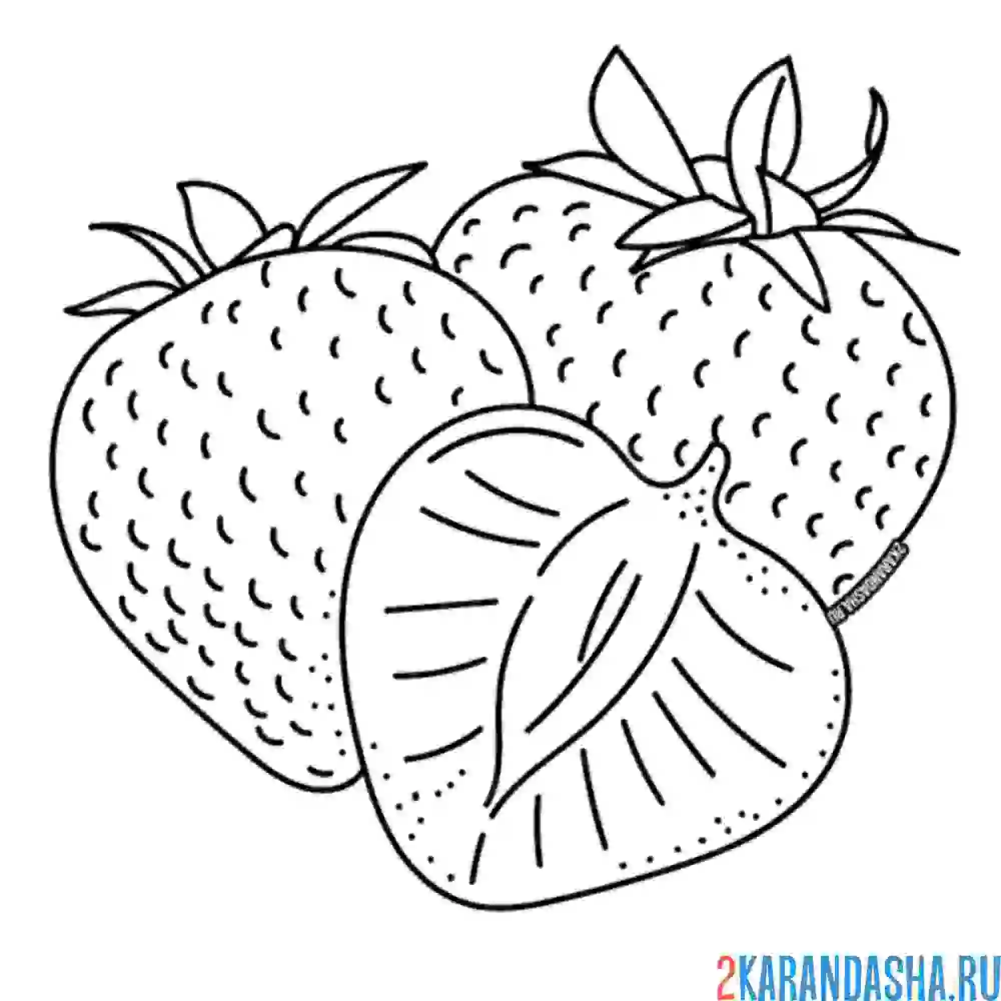 Раскраска три клубники