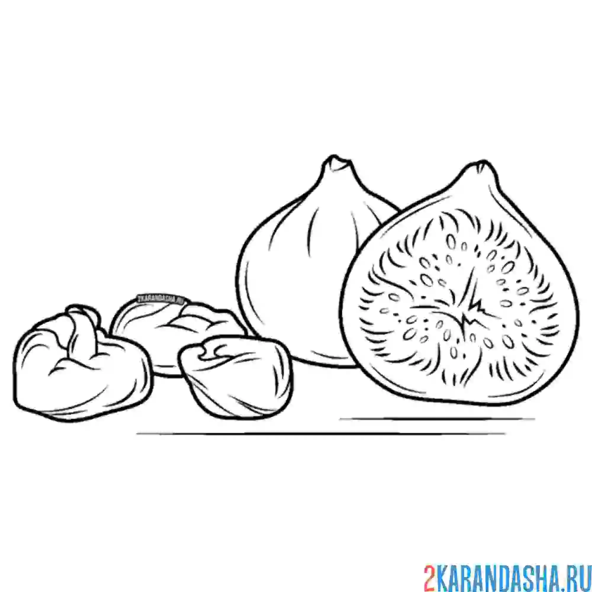 Раскраска инжир свежий