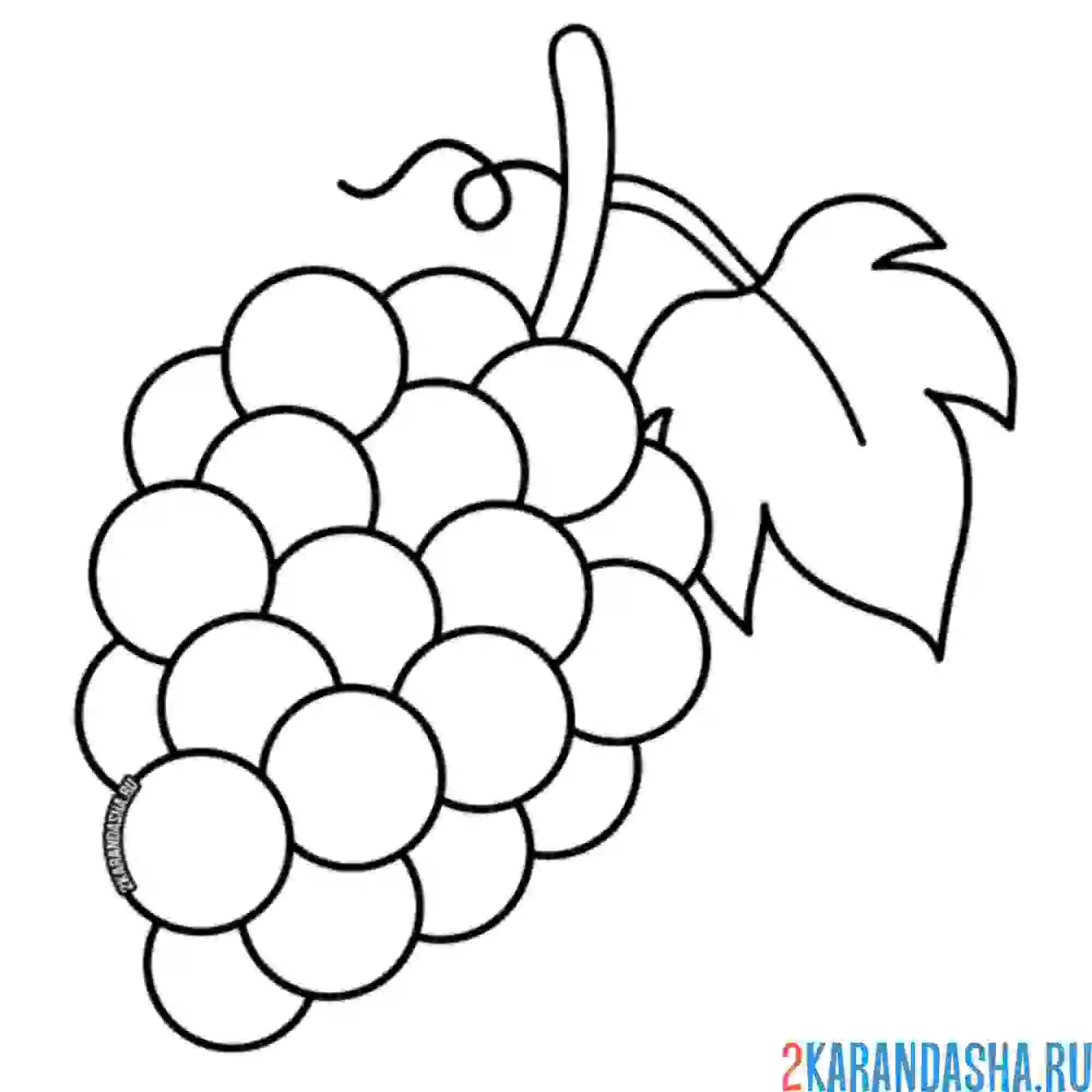 Раскраска гроздь винограда