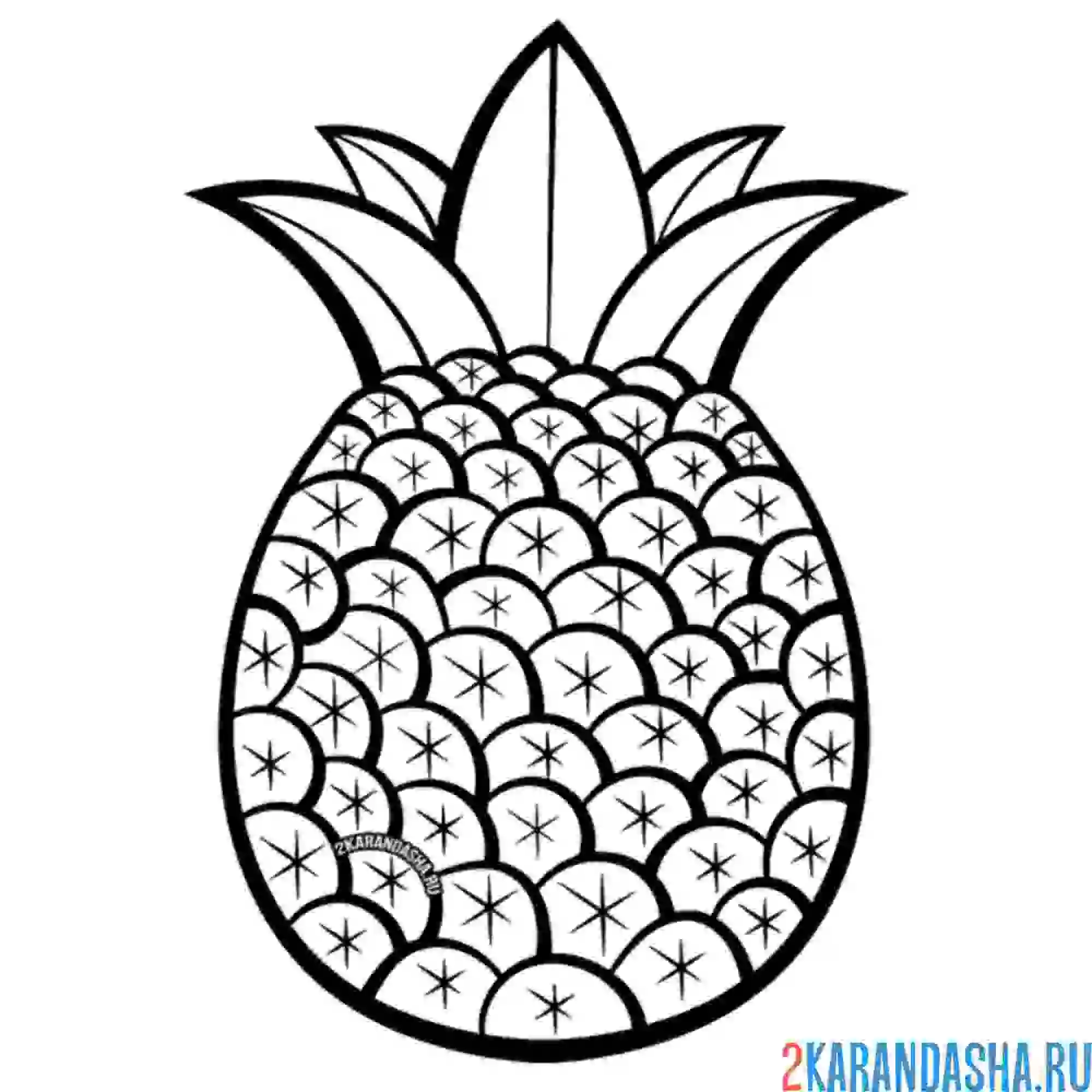 Раскраска большой ананас