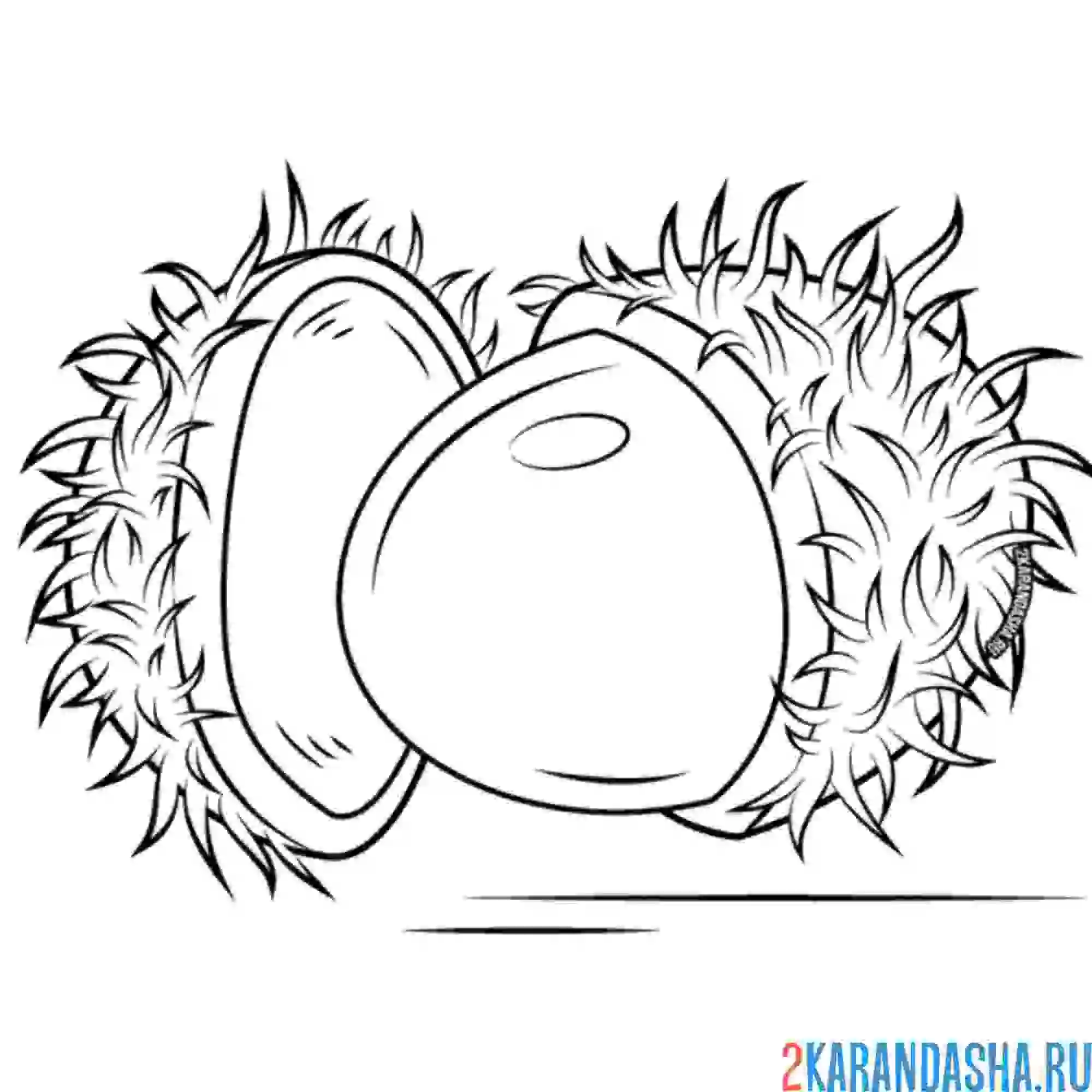 Раскраска рамбутан