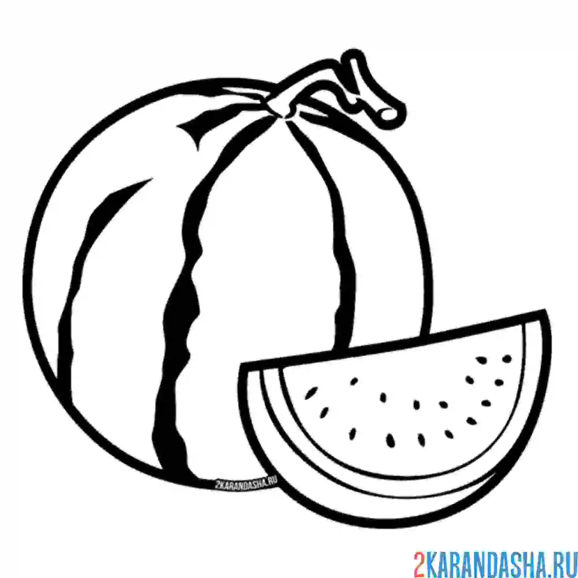 Раскраска арбуз и кусочек