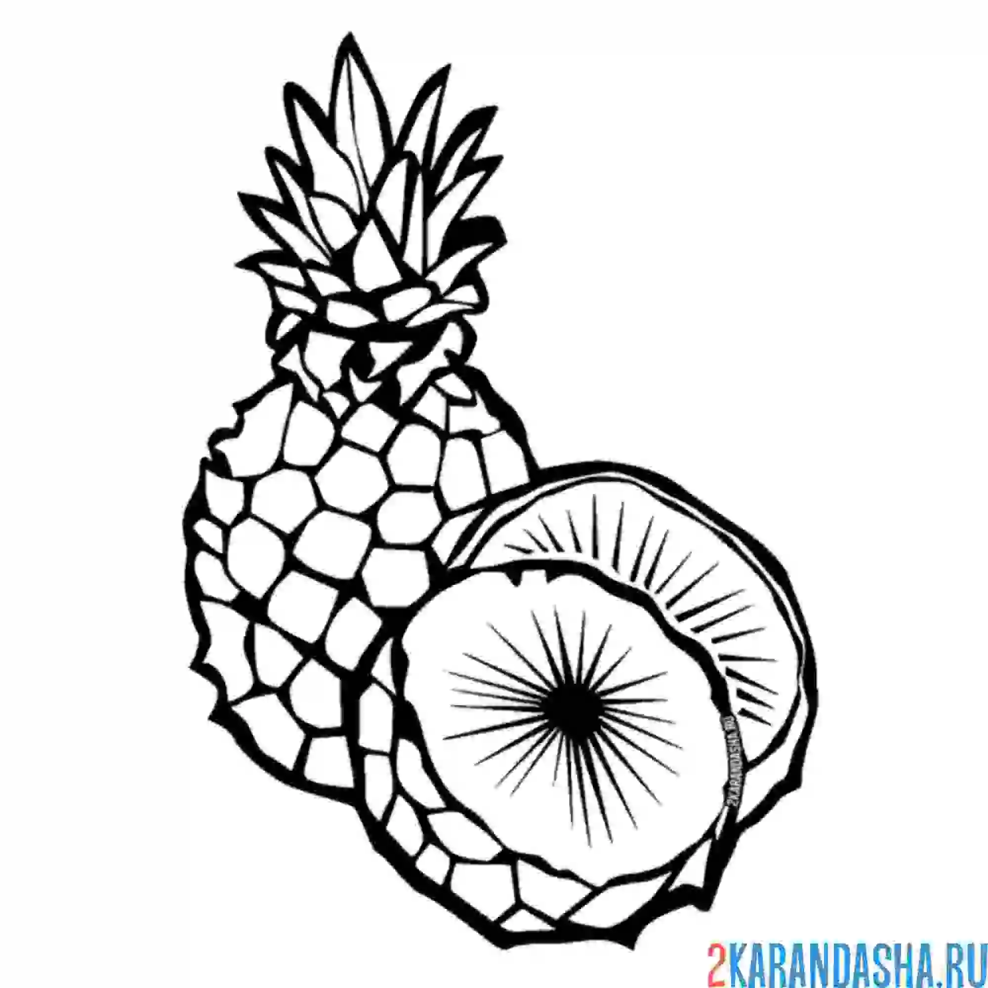 Раскраска ананас и кусочек