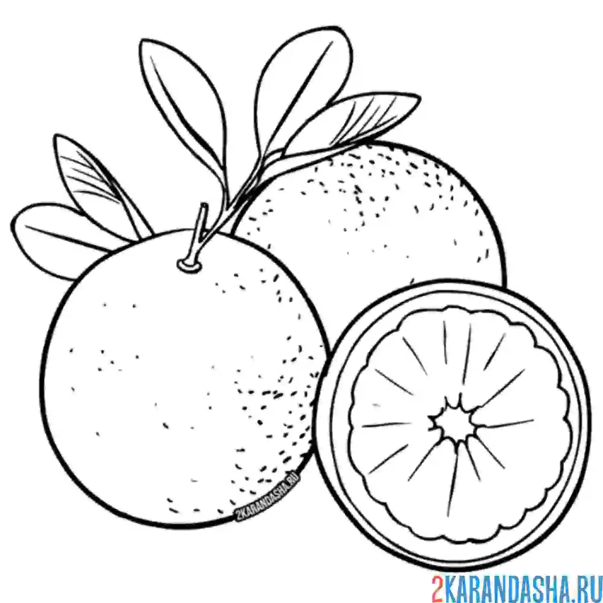 Раскраска три апельсина