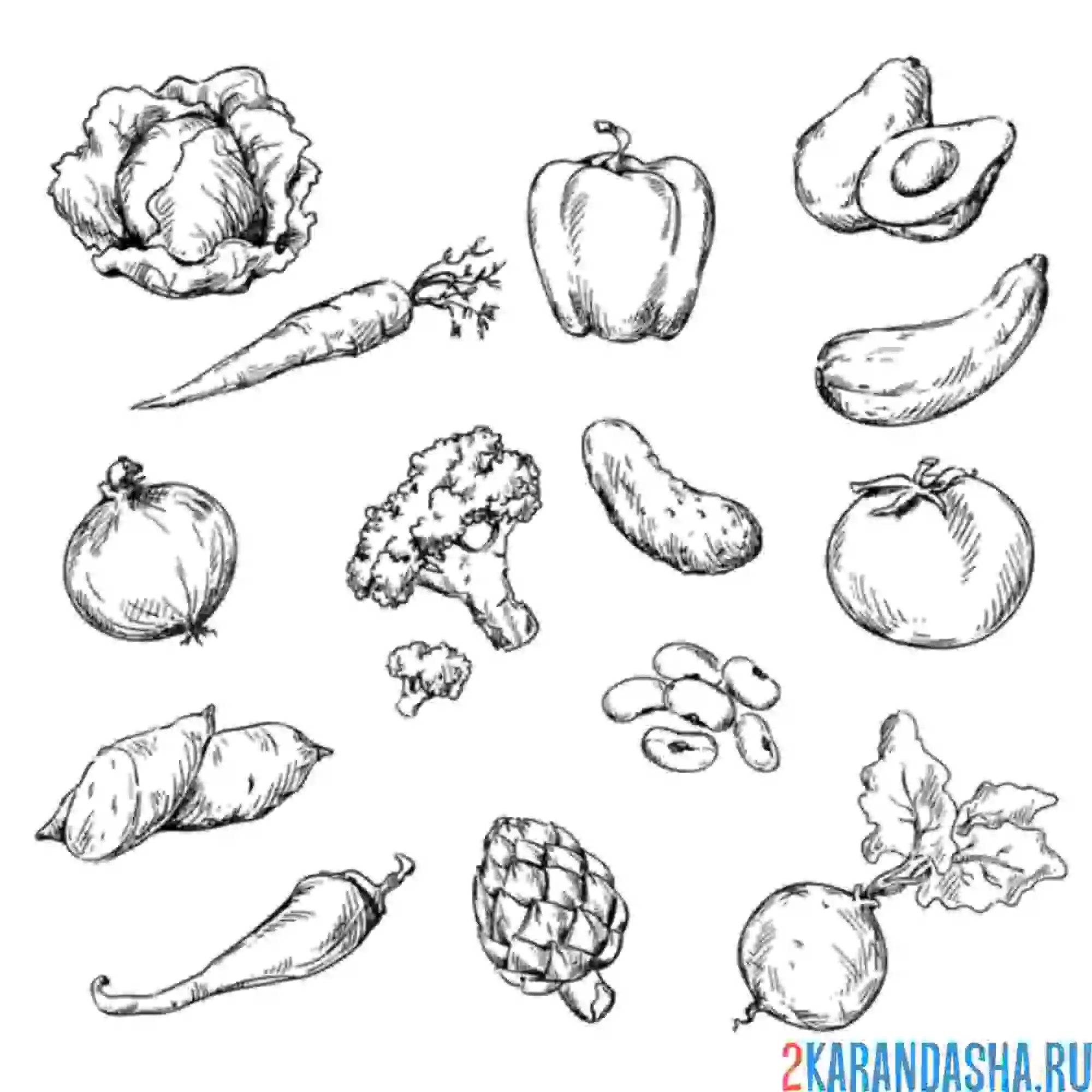 Раскраска разные овощи