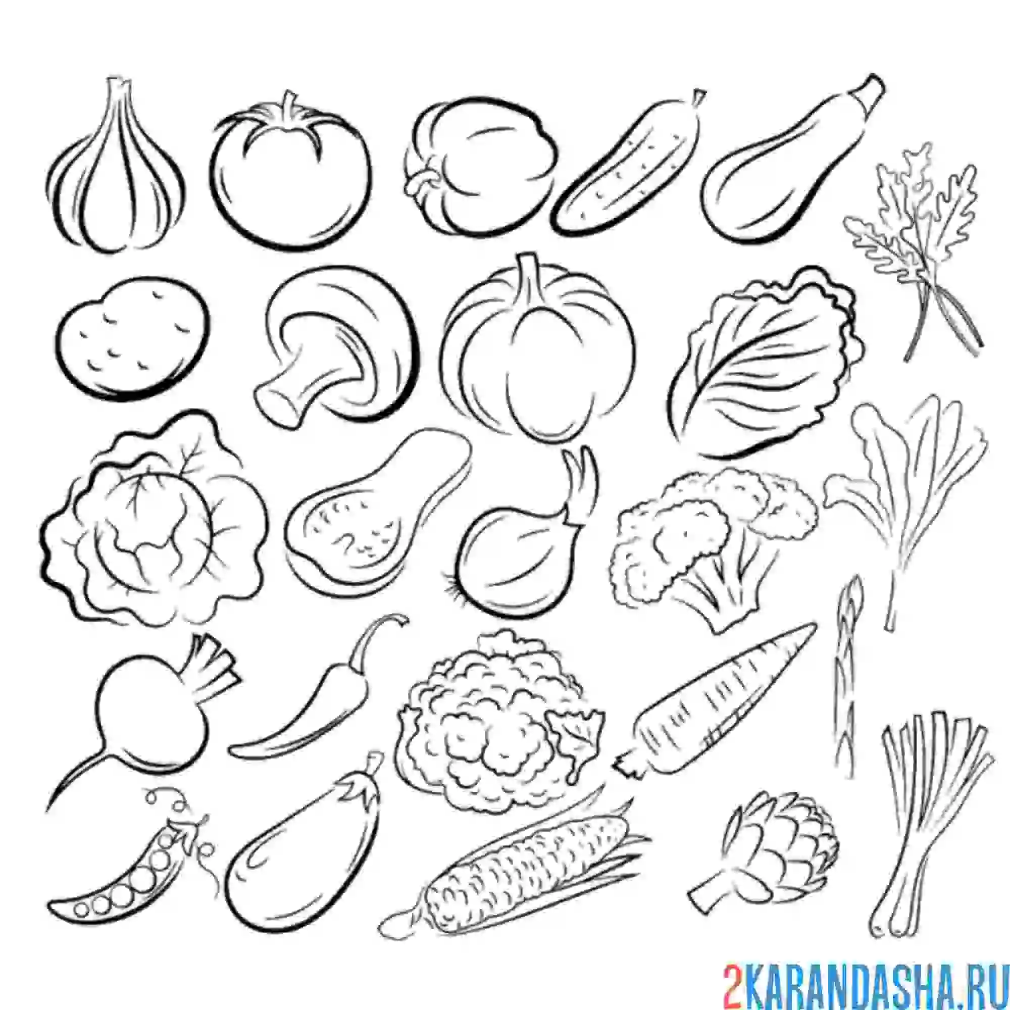 Раскраска много овощей на одном листе