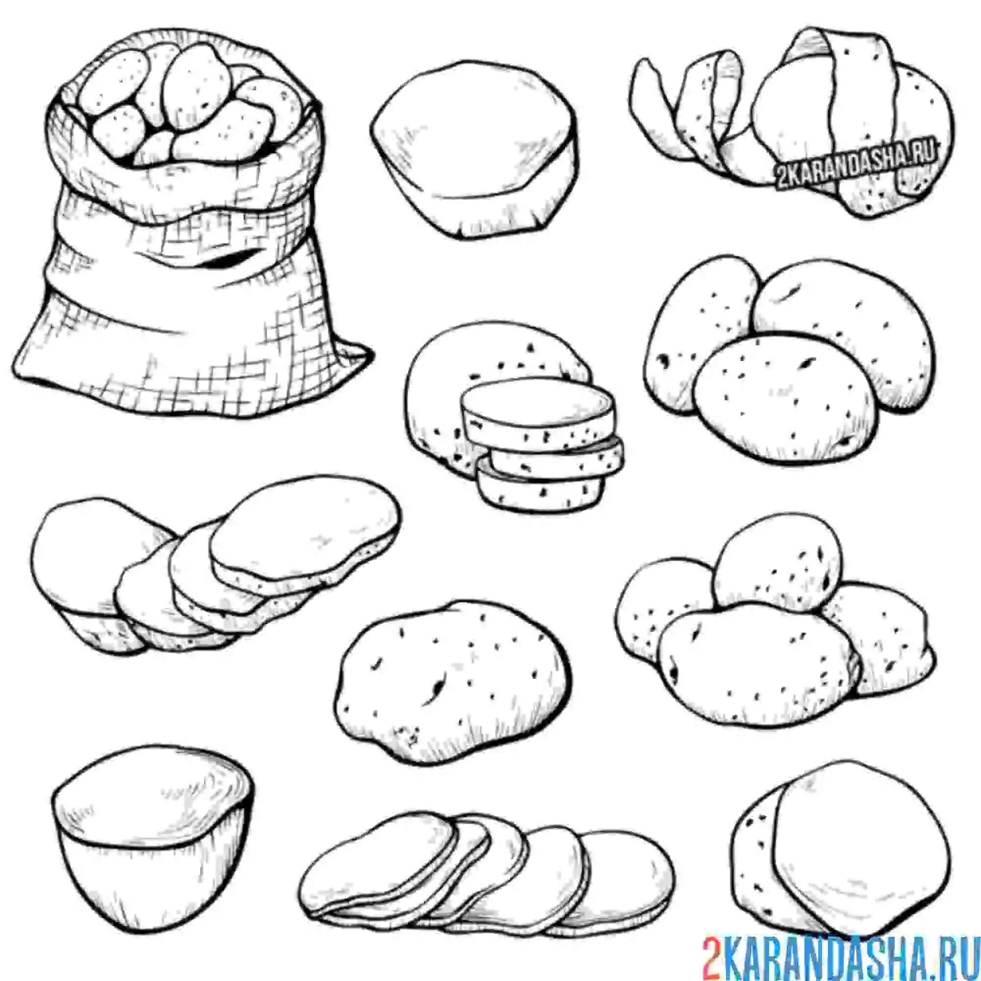 Раскраска разный картофель