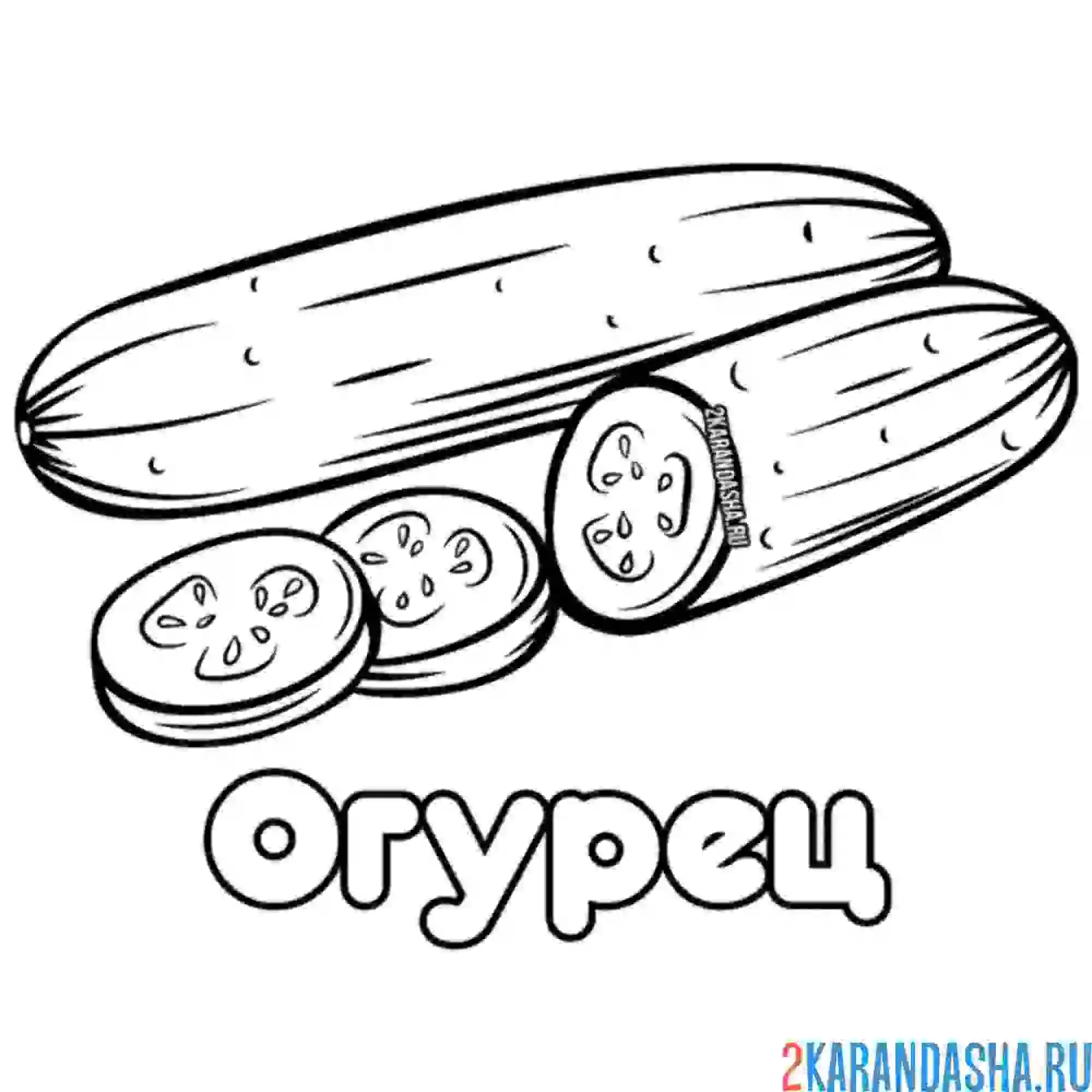 Раскраска порезанный огурец