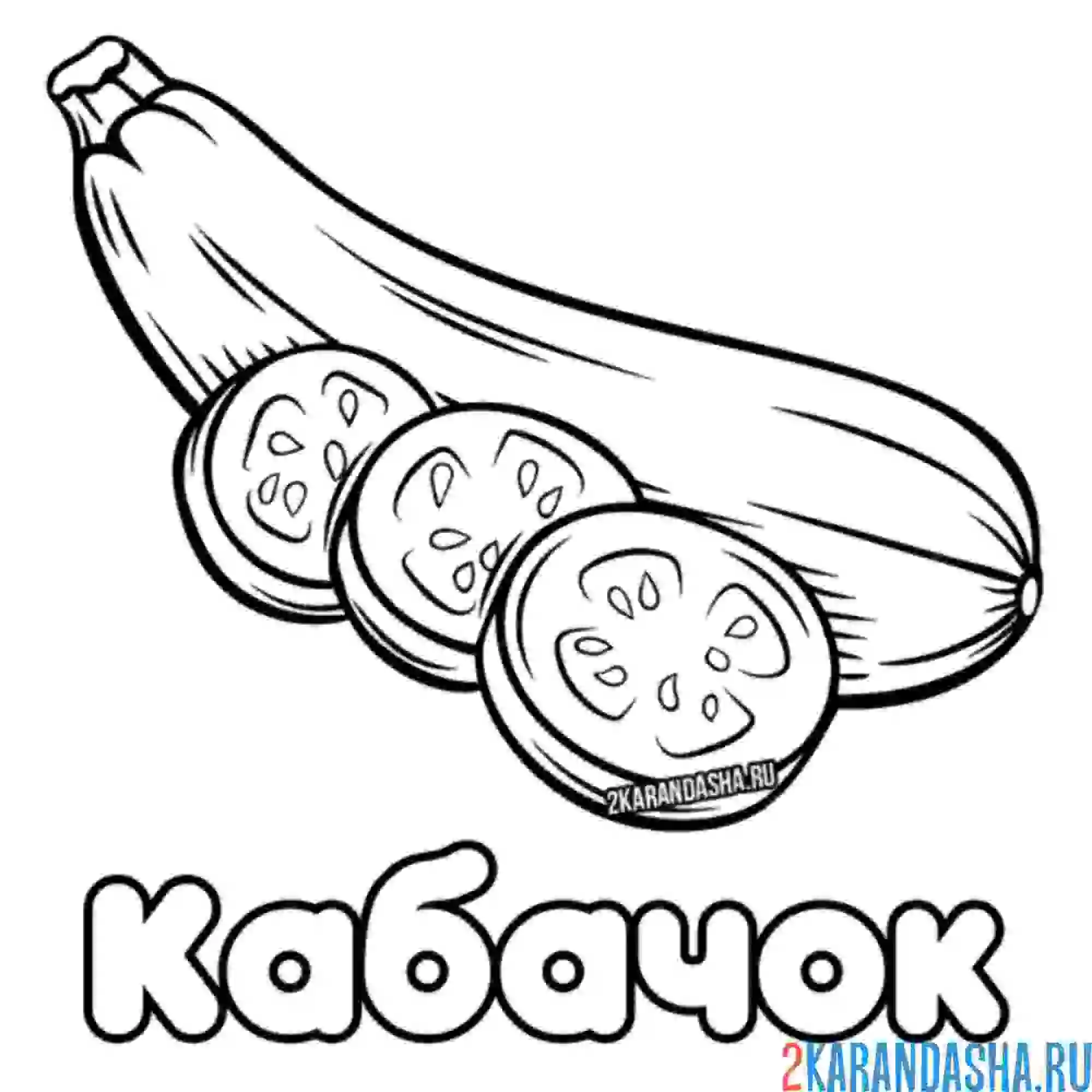 Раскраска кабачок кольцами