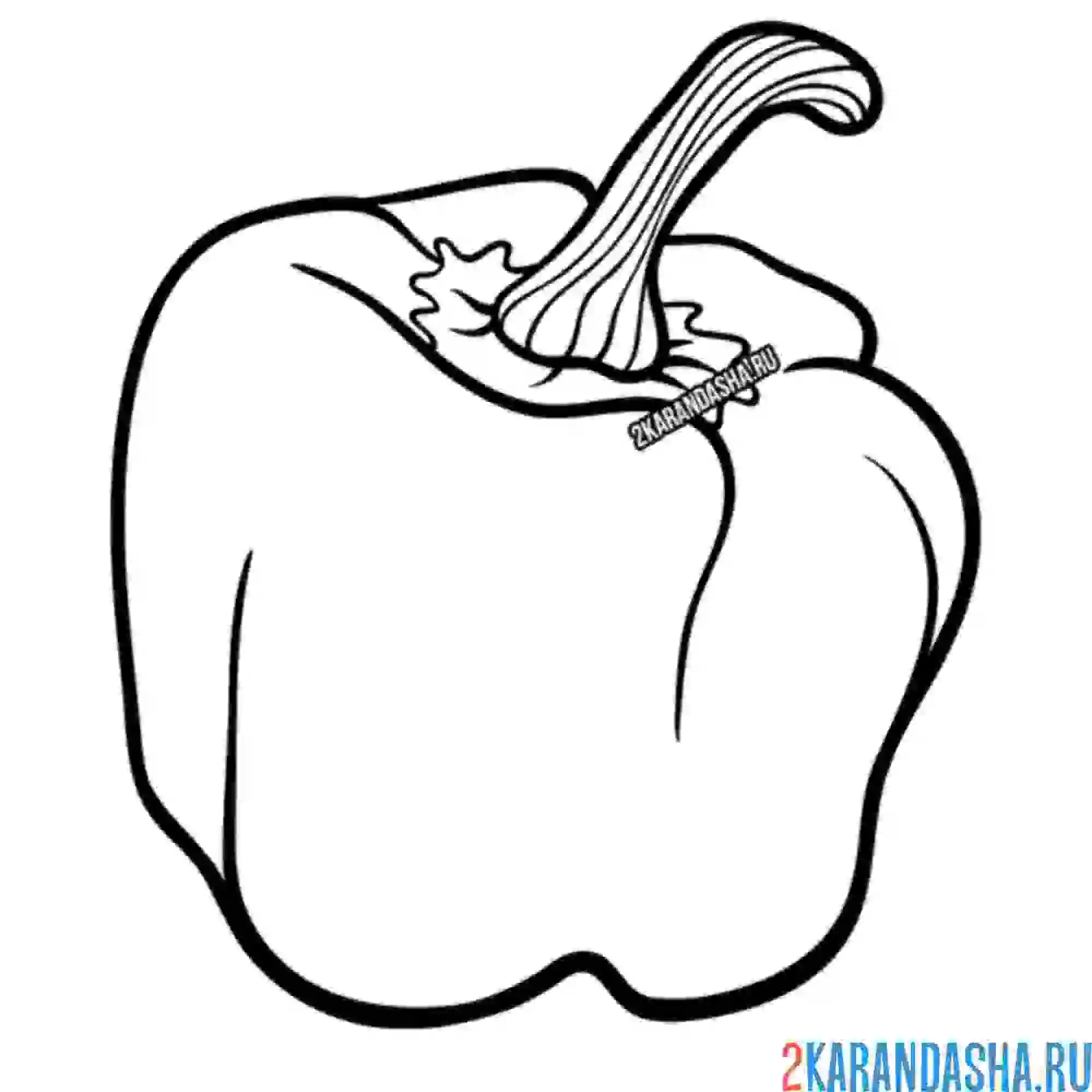 Раскраска болгарский перец