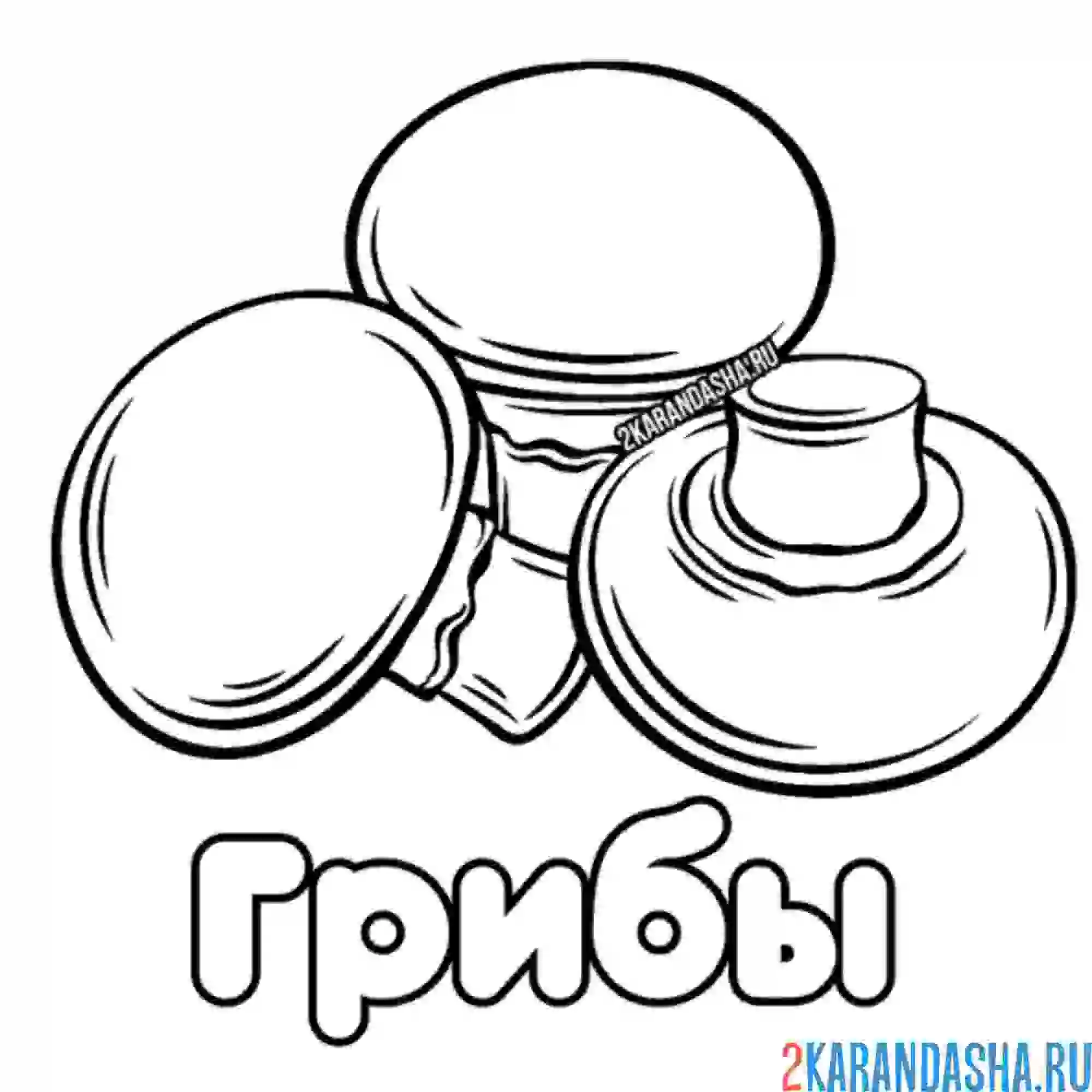 Раскраска грибы съедобные