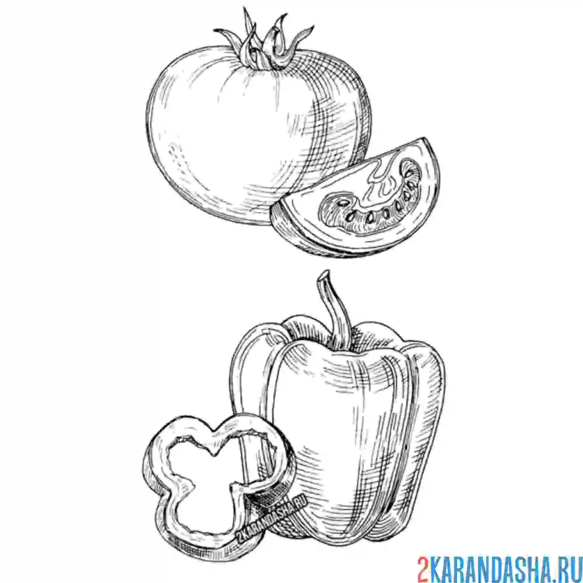 Раскраска томат и перец болгарский