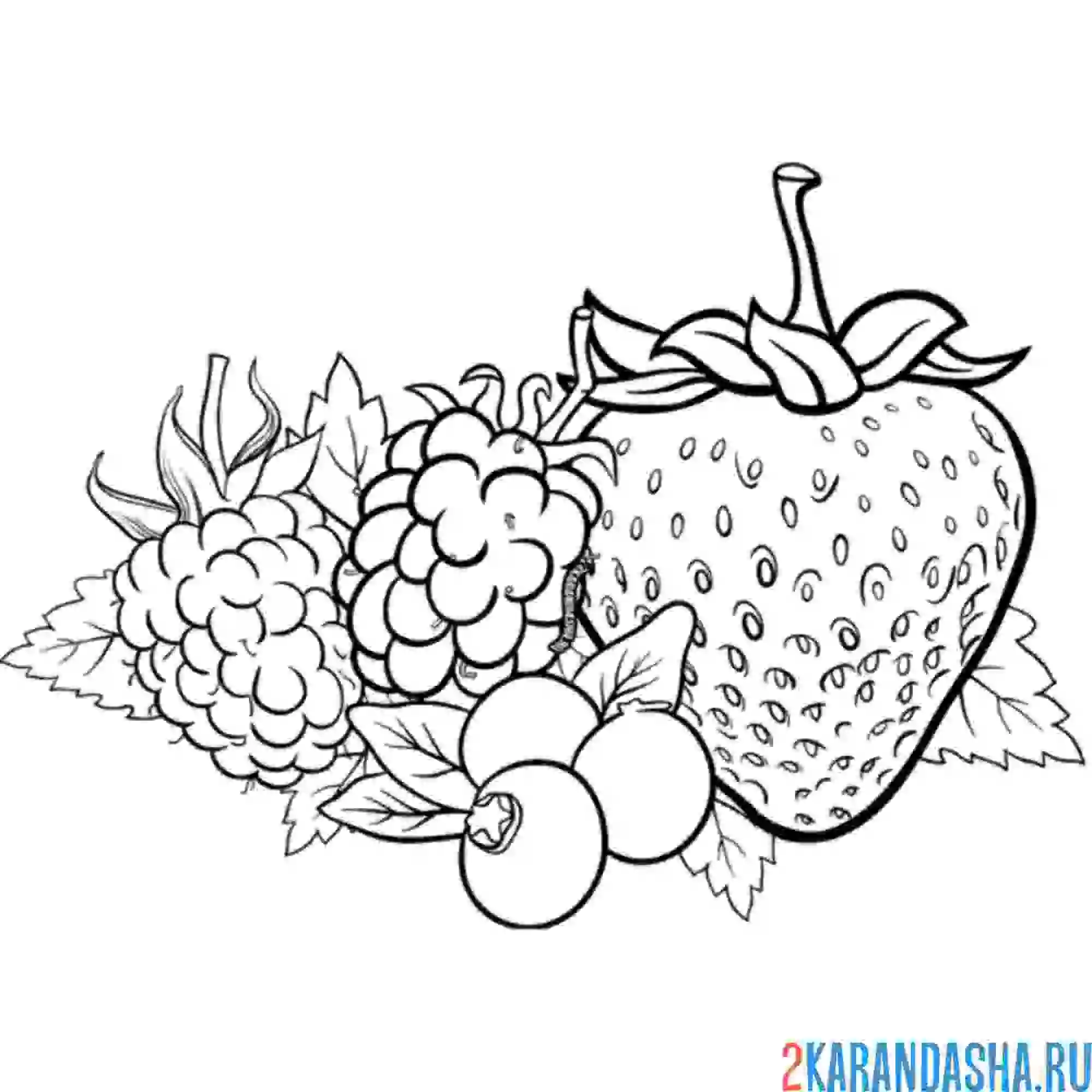 Раскраска набор ягод