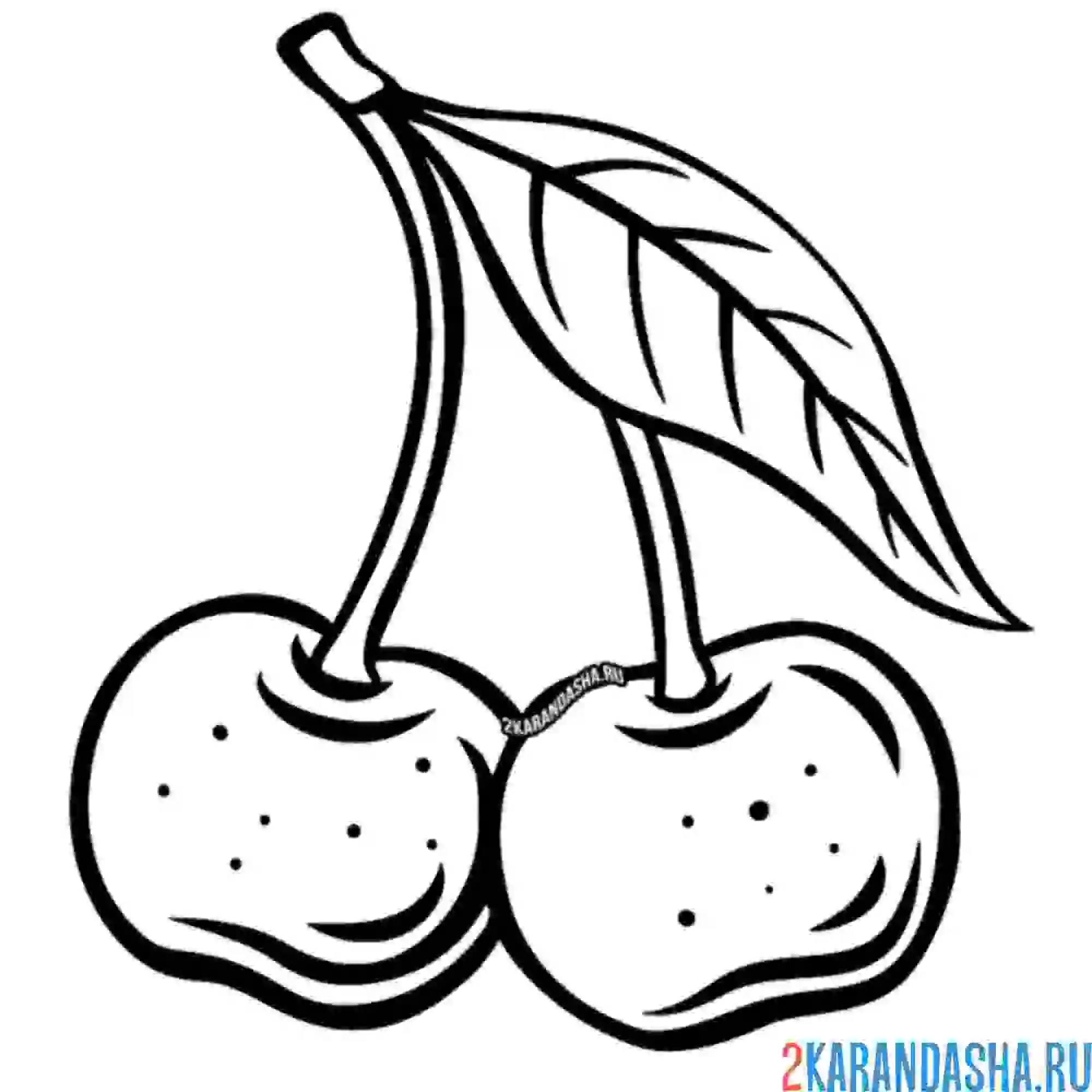 Раскраска две вишенки ягода