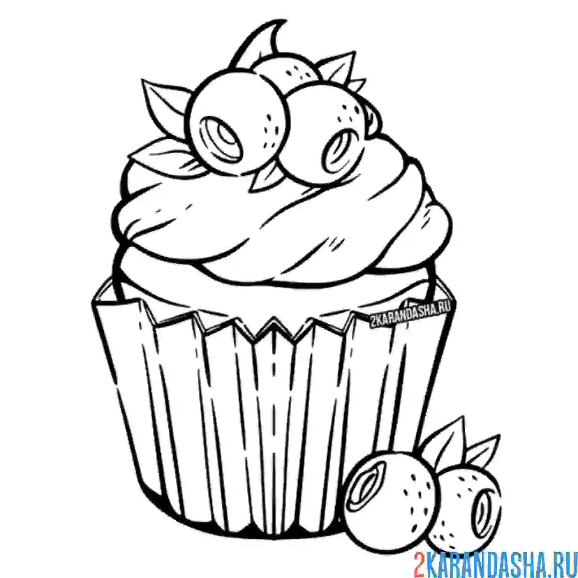 Раскраска кекс с голубикой