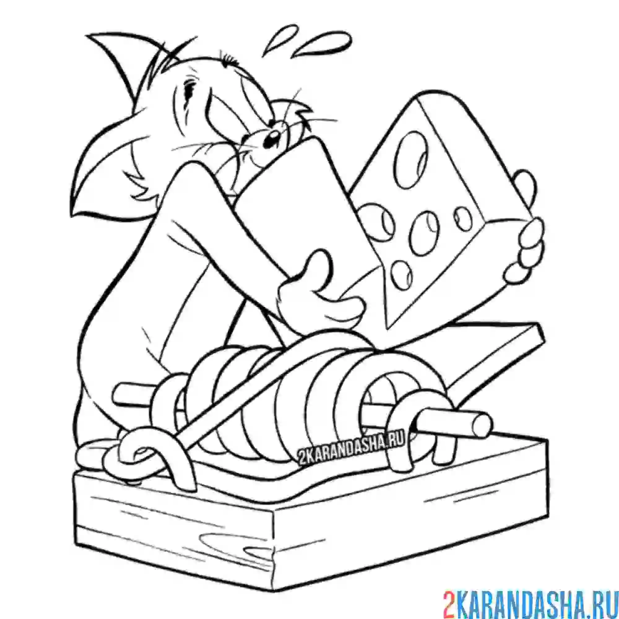 Раскраска том ставит ловушку