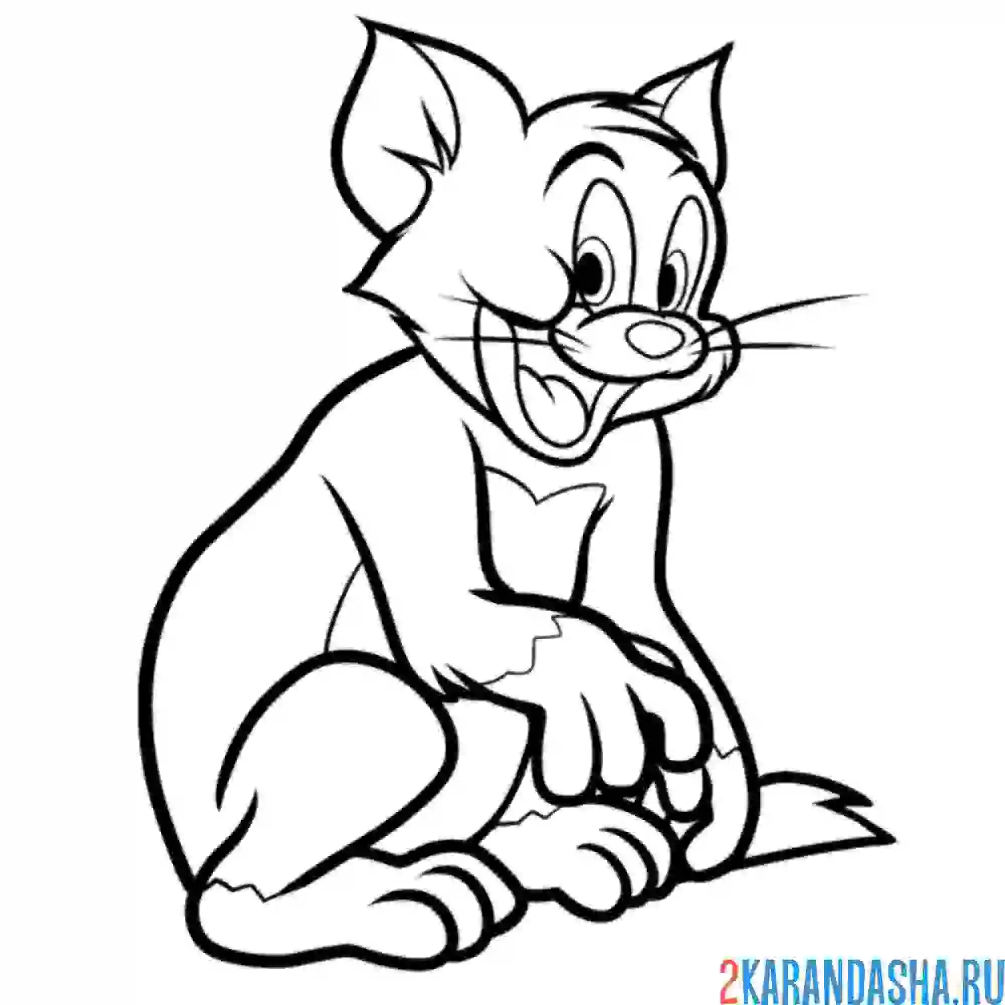 Раскраска том хитрый кот