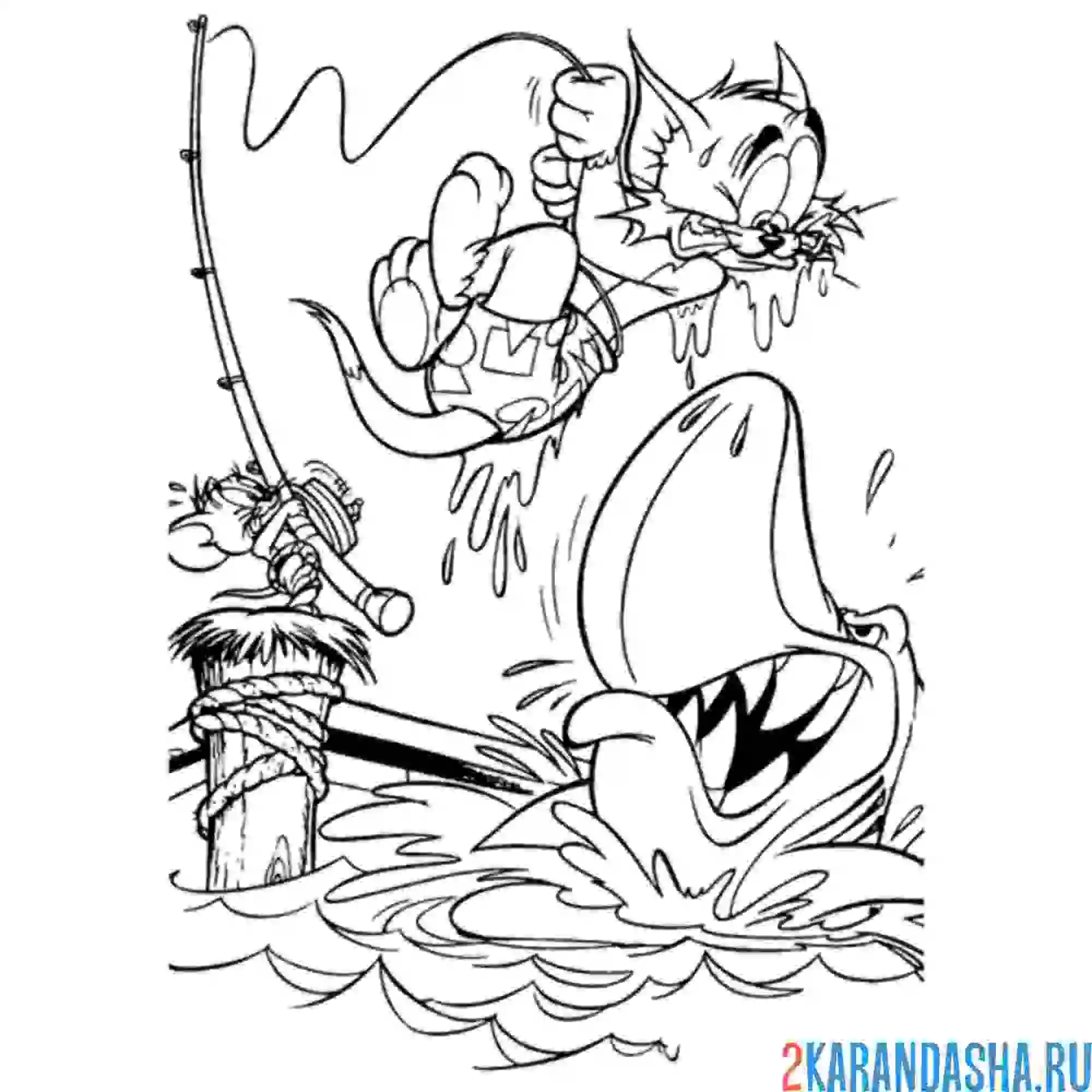 Раскраска том и акула