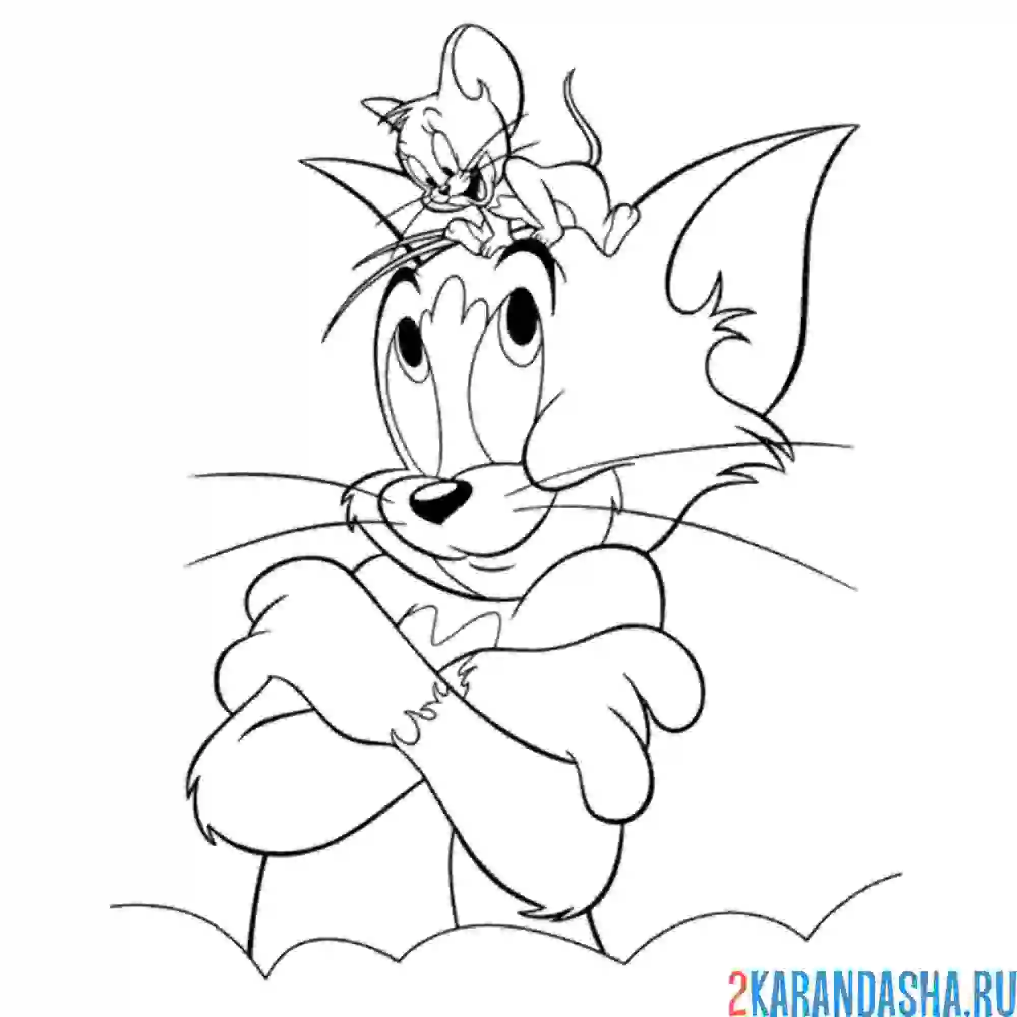 Раскраска том и джерри на голове