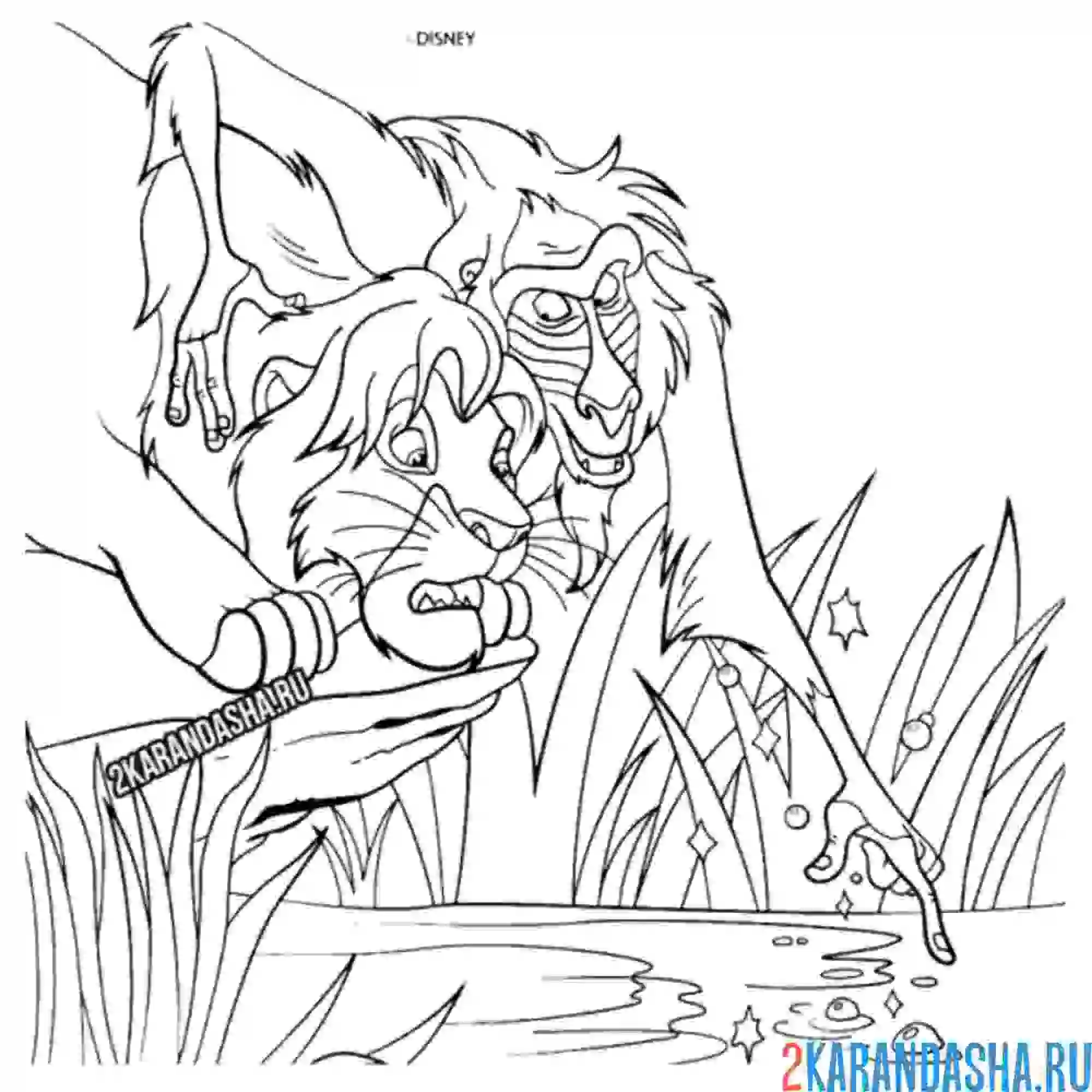 Раскраска муфаса и рафики