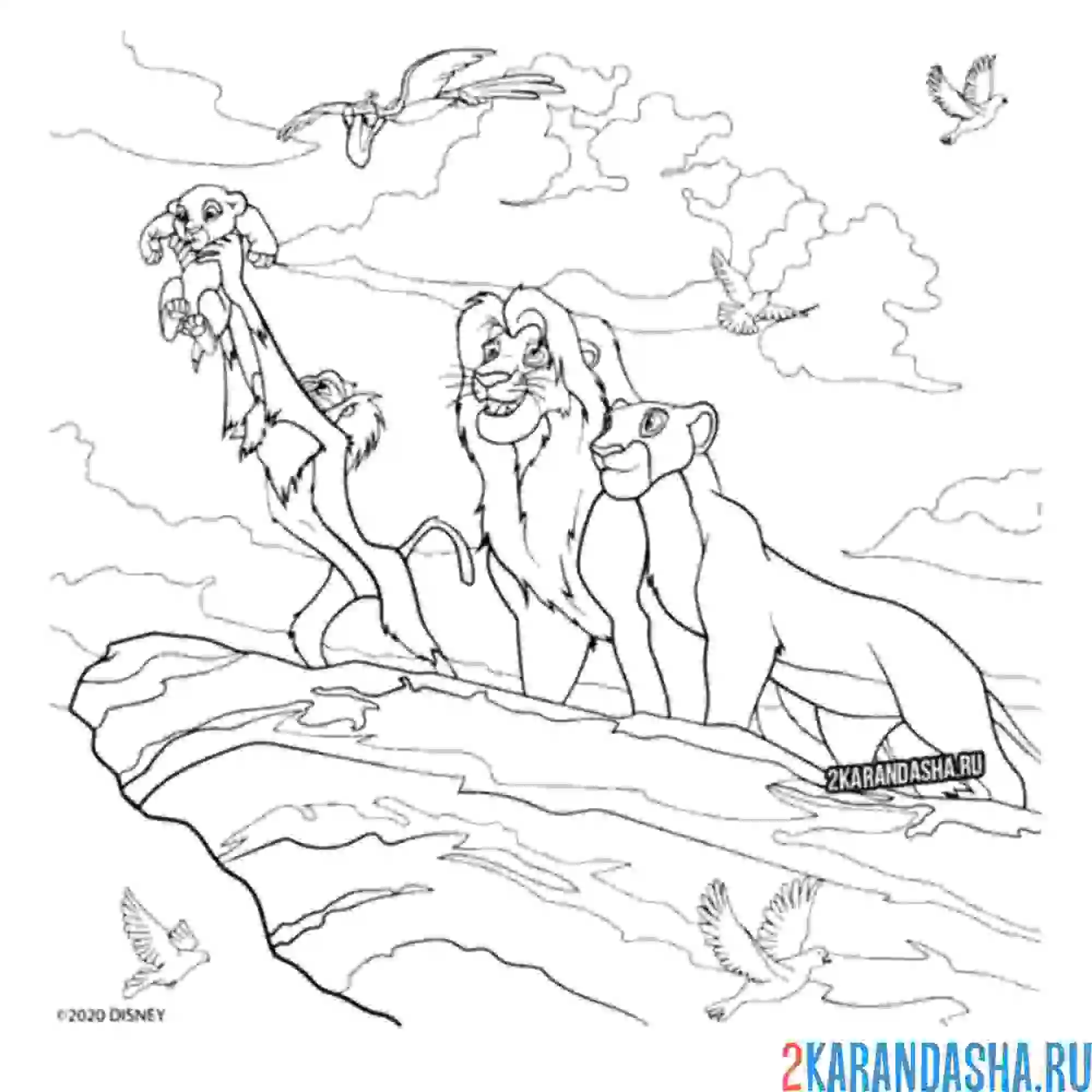 Раскраска симба признанный король