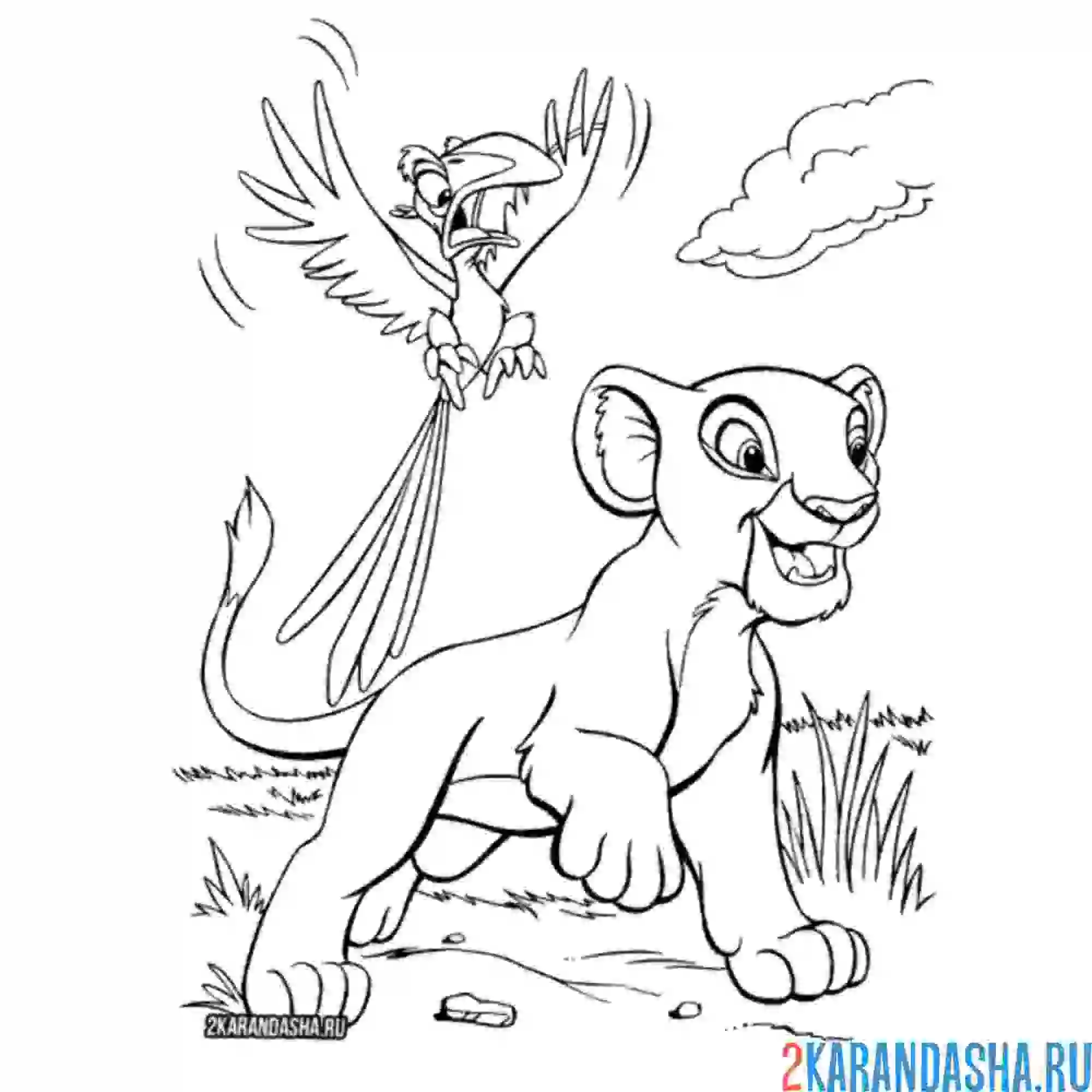 Раскраска симба король лев