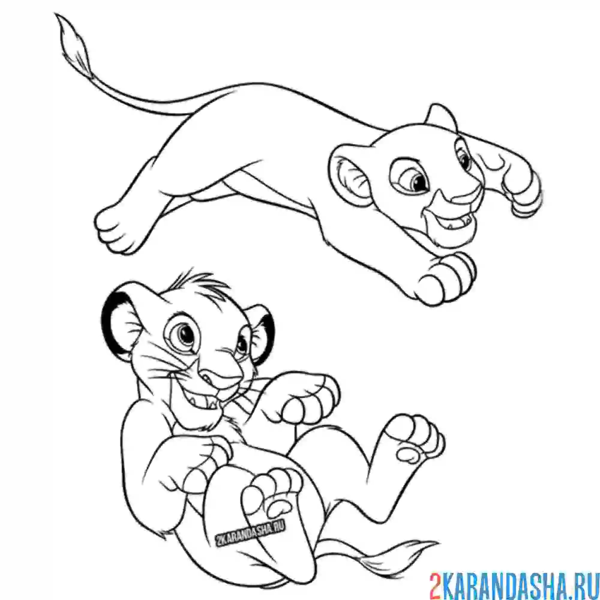 Раскраска симба и нала играют король лев