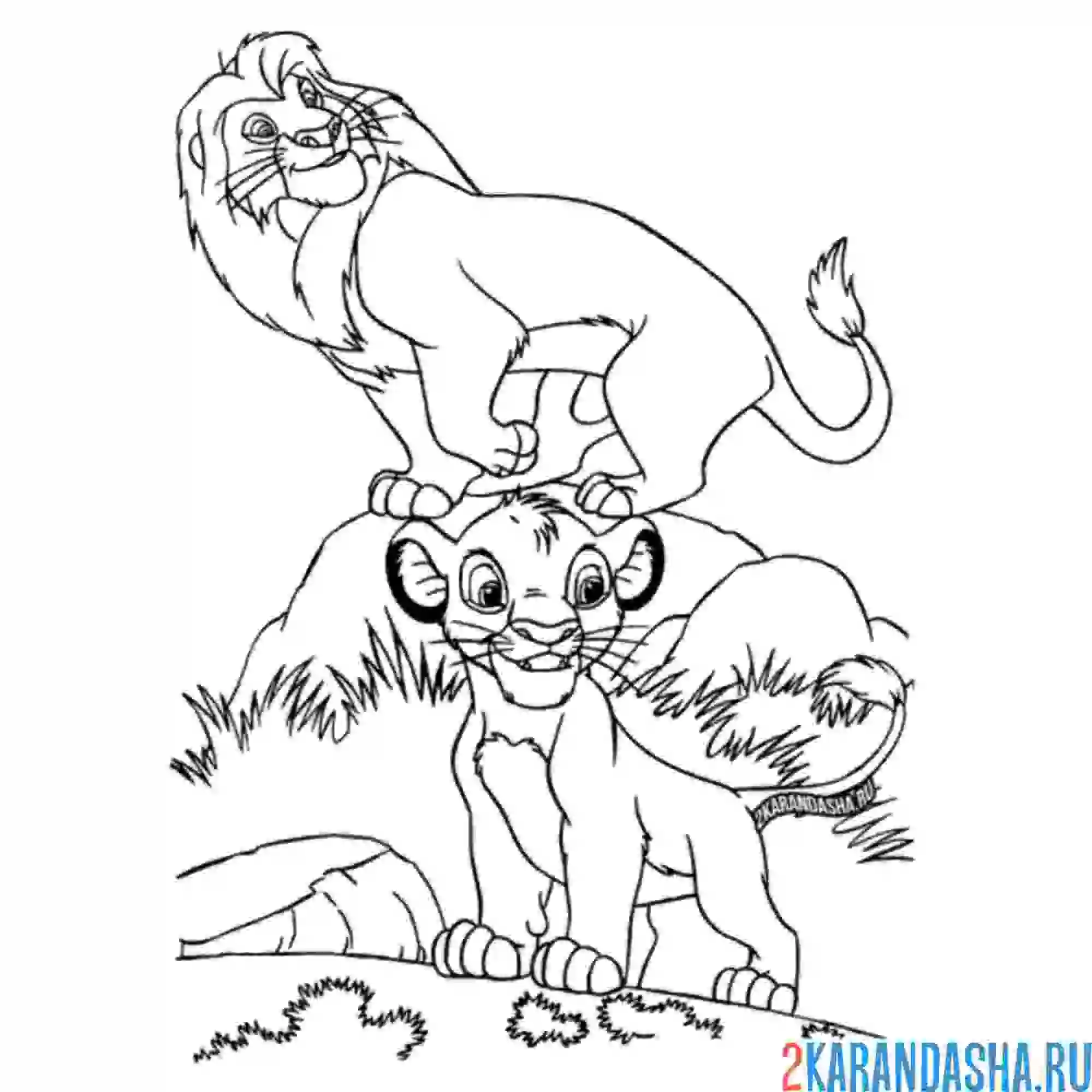 Раскраска король лев симба и муфаса