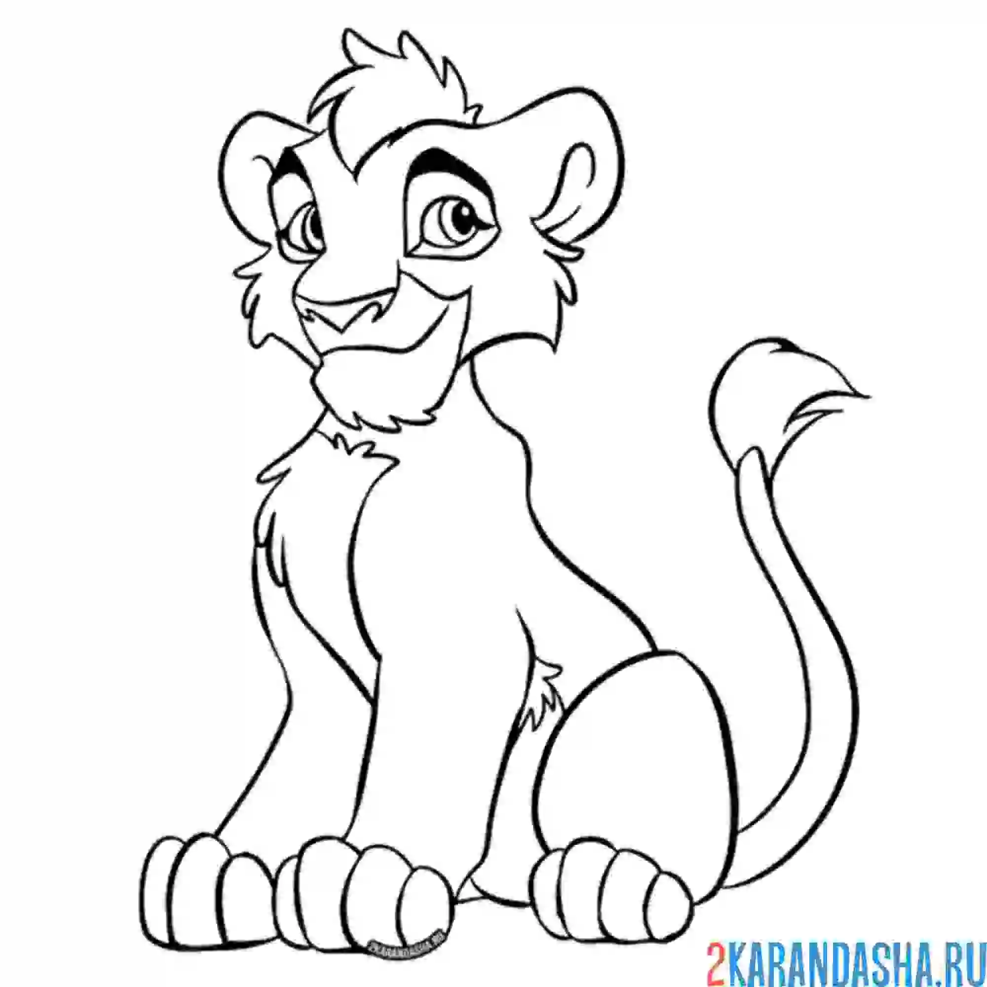 Раскраска симба подрос