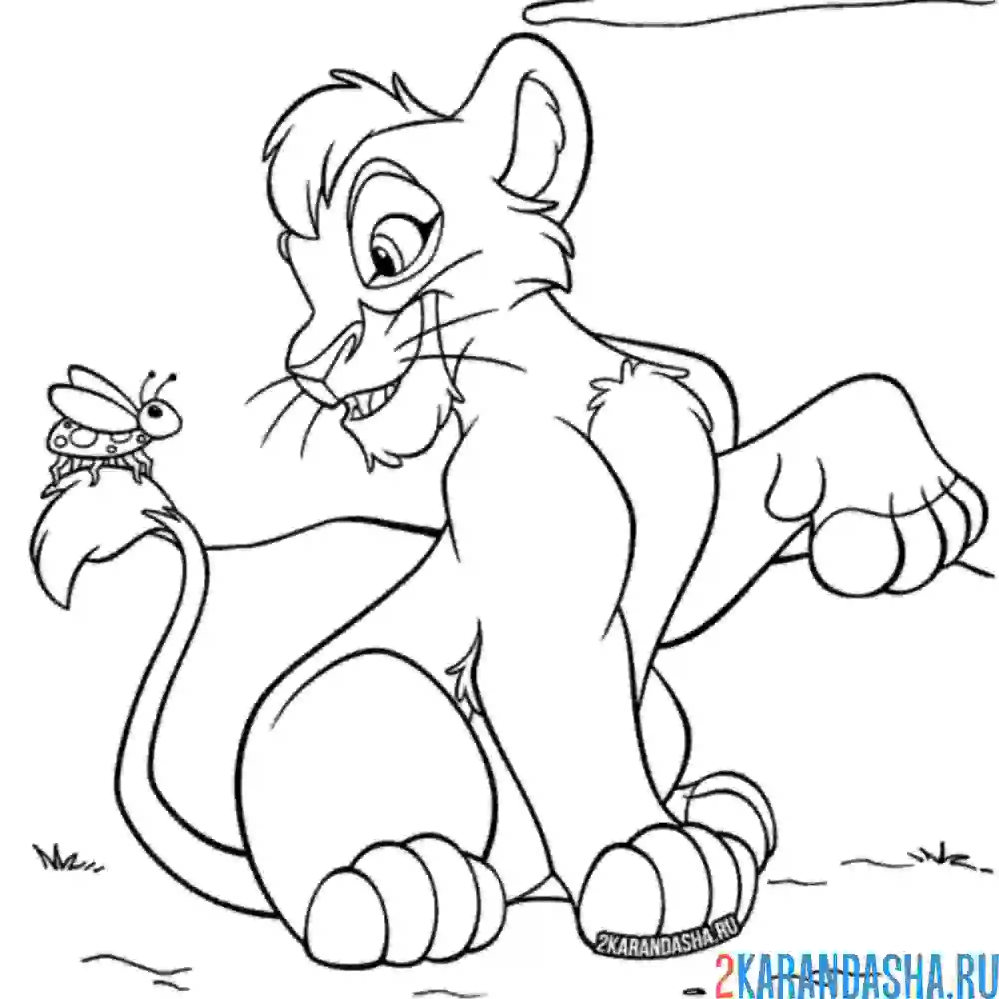 Раскраска симба увидел жучка