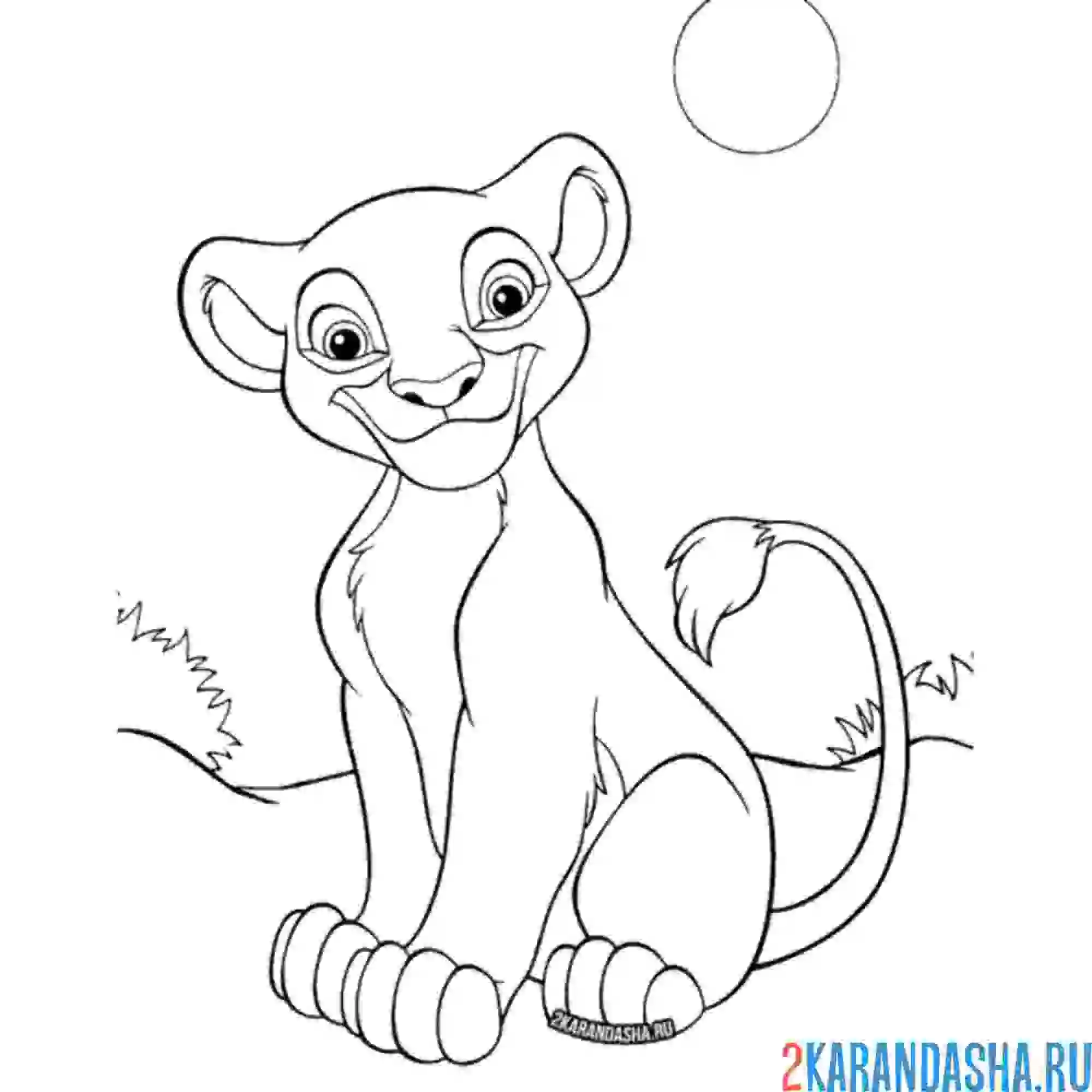 Раскраска нала из король лев