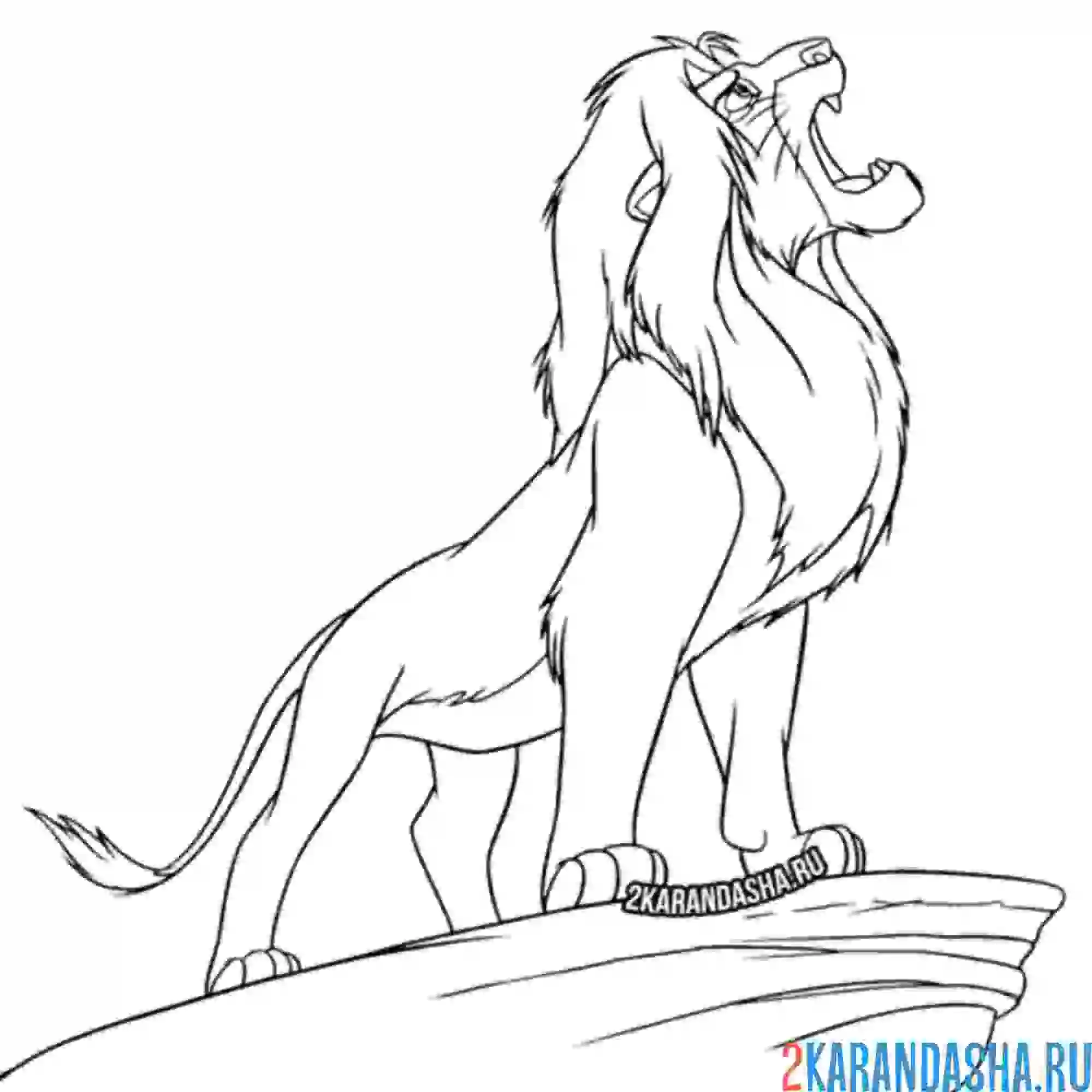 Раскраска король лев рычит