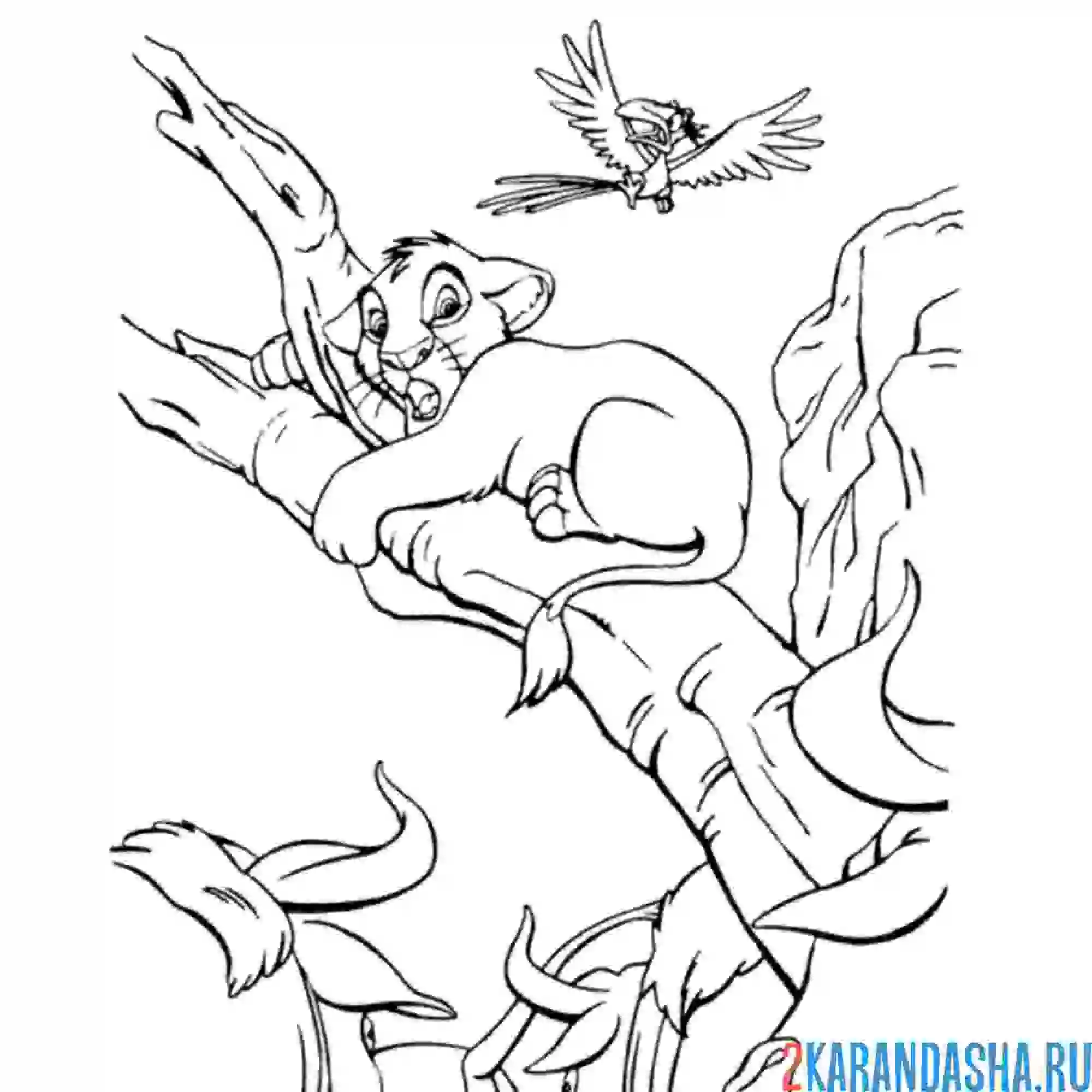 Раскраска симба прячется от быков