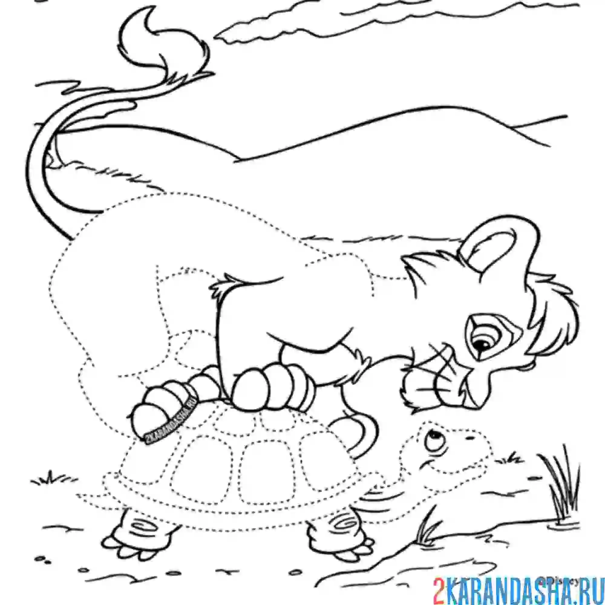 Раскраска симба увидел черепаху