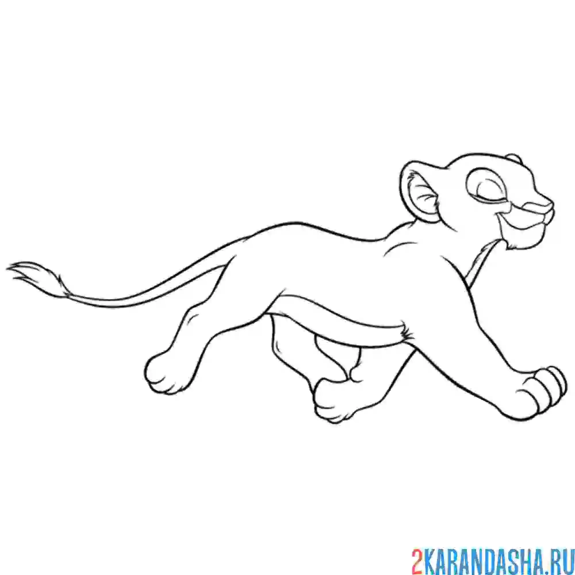 Раскраска нала довольная бежит