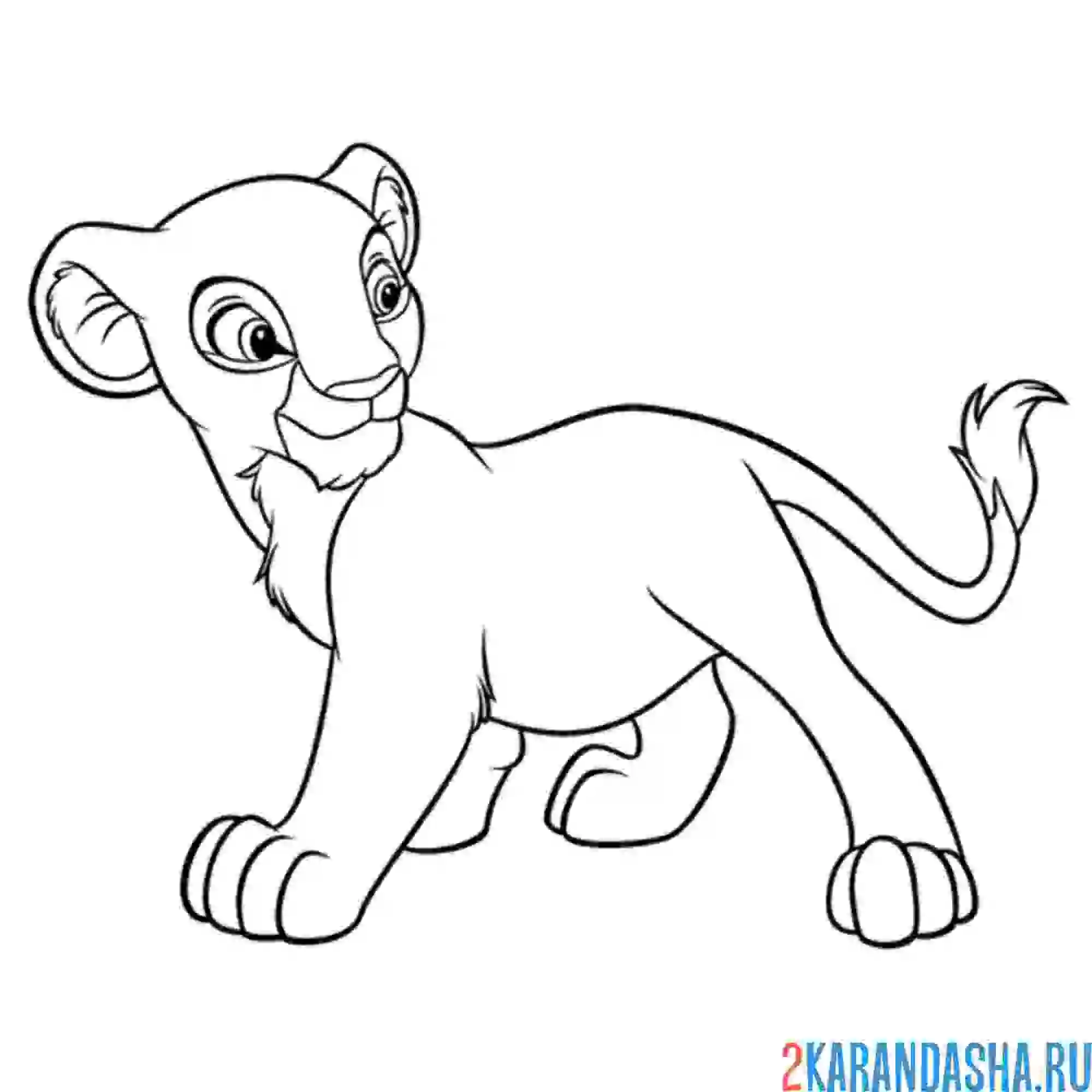 Раскраска нала маленькая львица