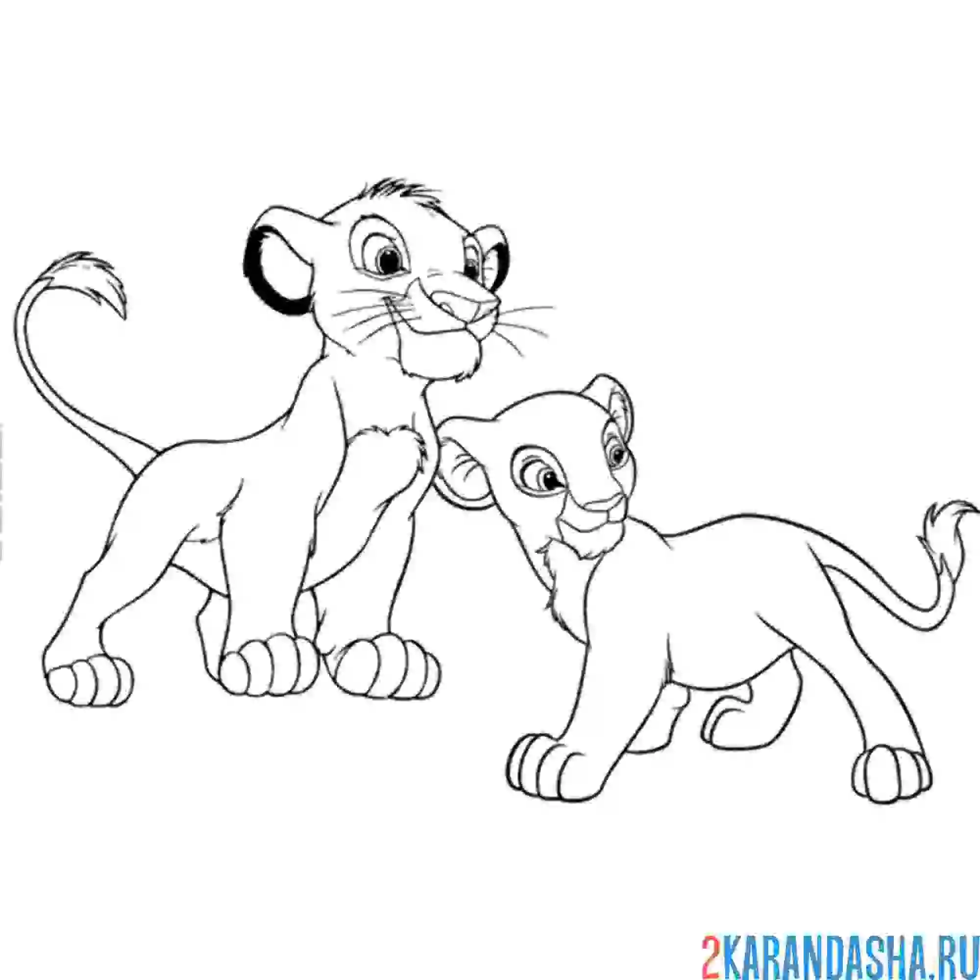 Раскраска нала и симба вместе