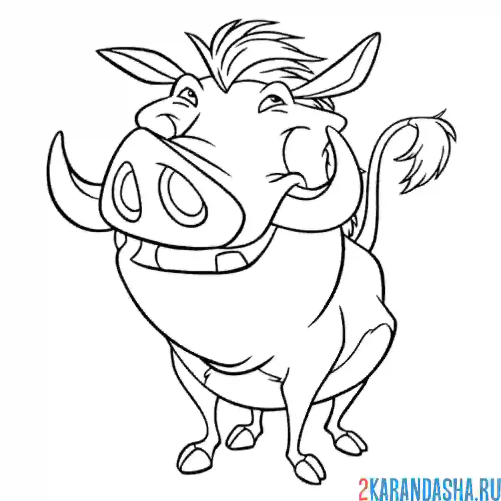 Раскраска пумба стоит