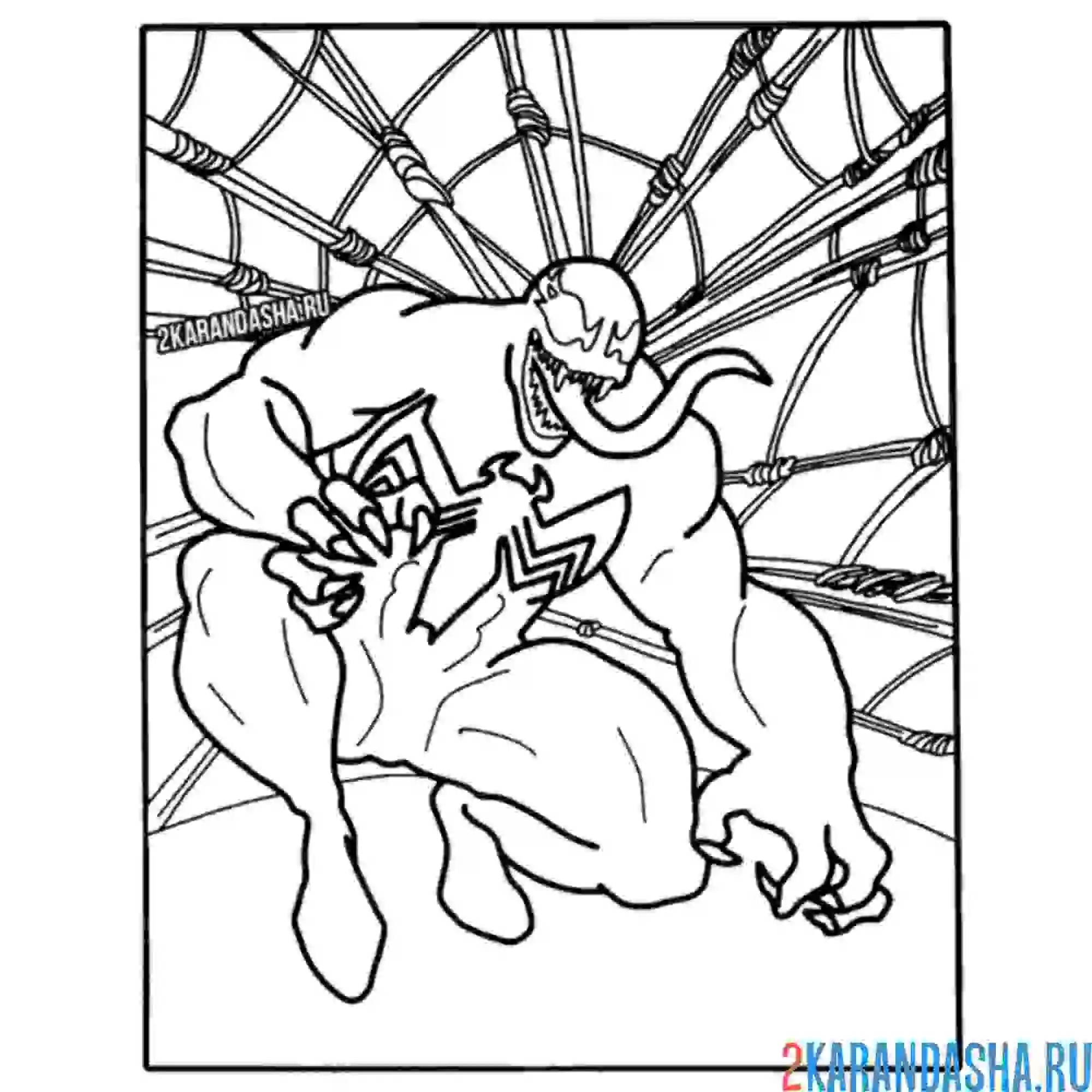 Раскраска веном в паутине