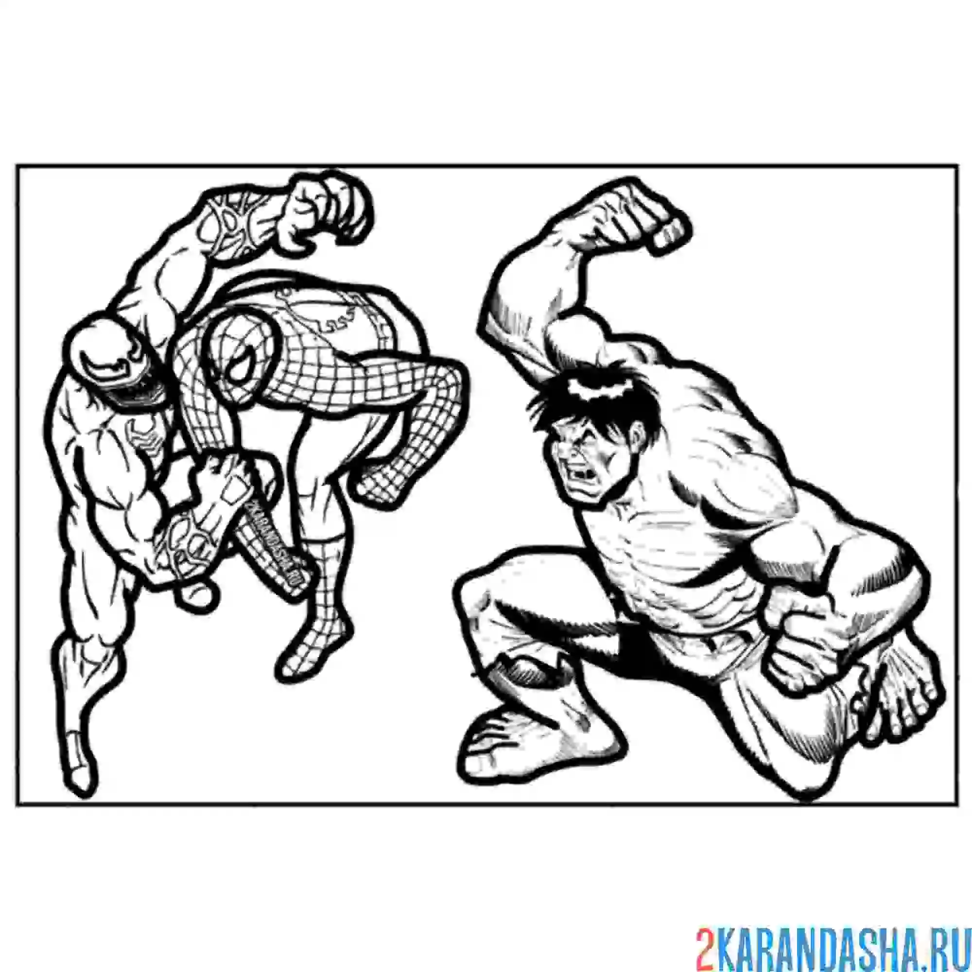 Раскраска веном, человек-паук и халк
