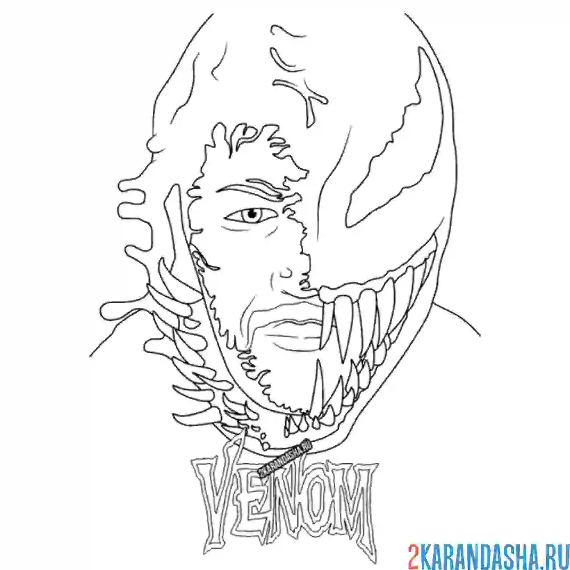 Раскраска веном поглатитель