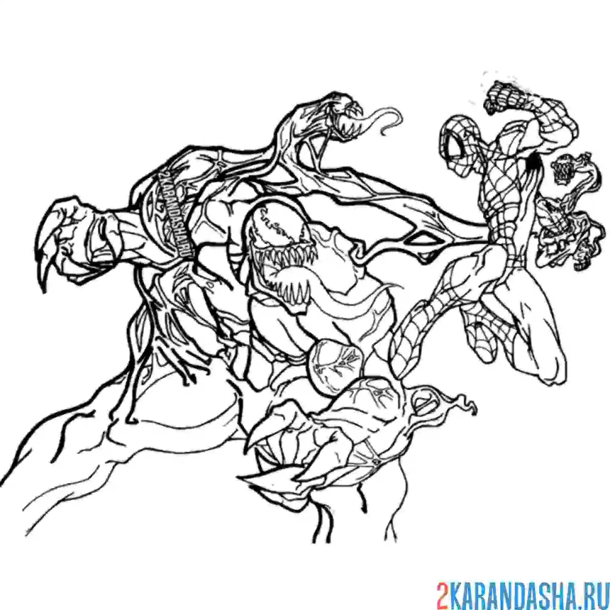 Раскраска человек-паук сражается с веномом
