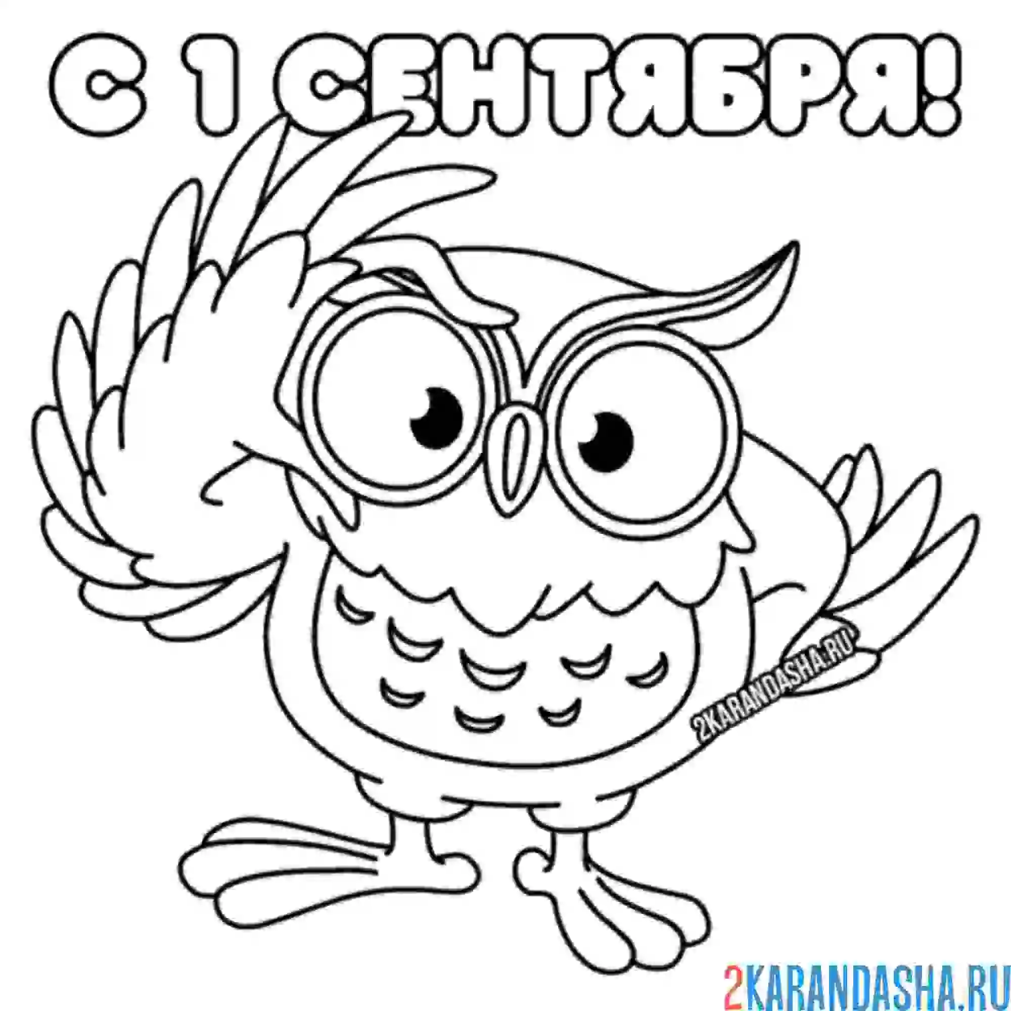 Раскраска умная сова 1 сентября
