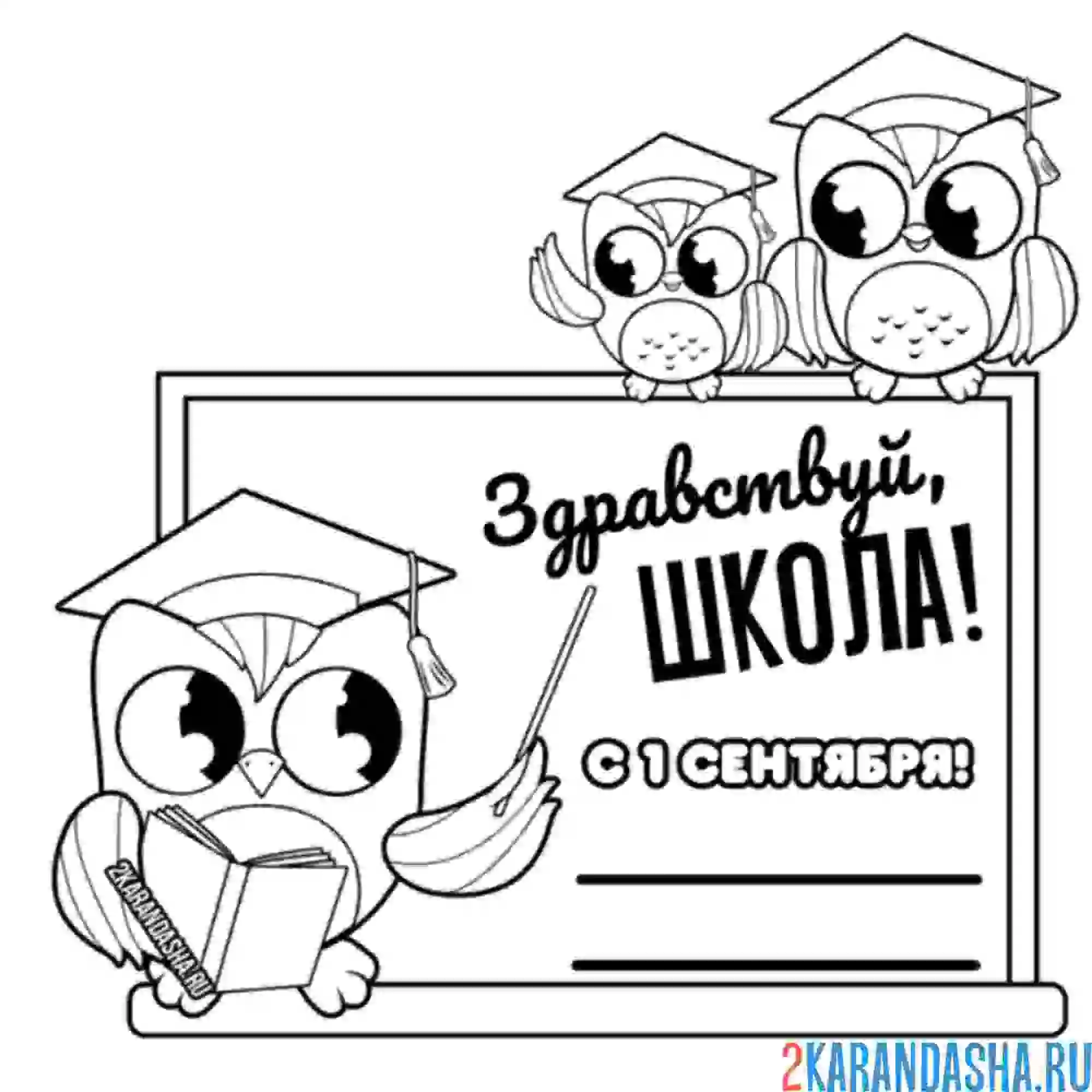 Раскраска поздравление с 1 сентября сова