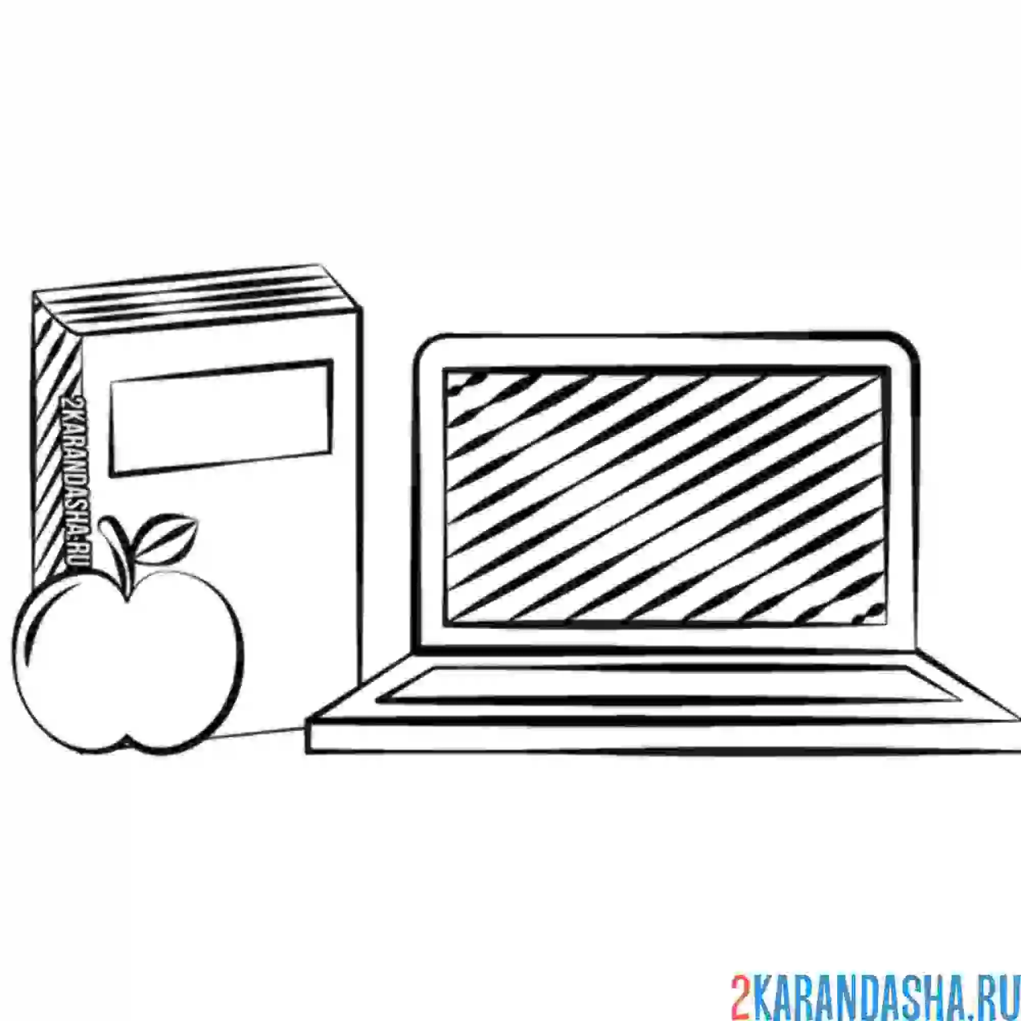 Раскраска школьная книга и ноутбук