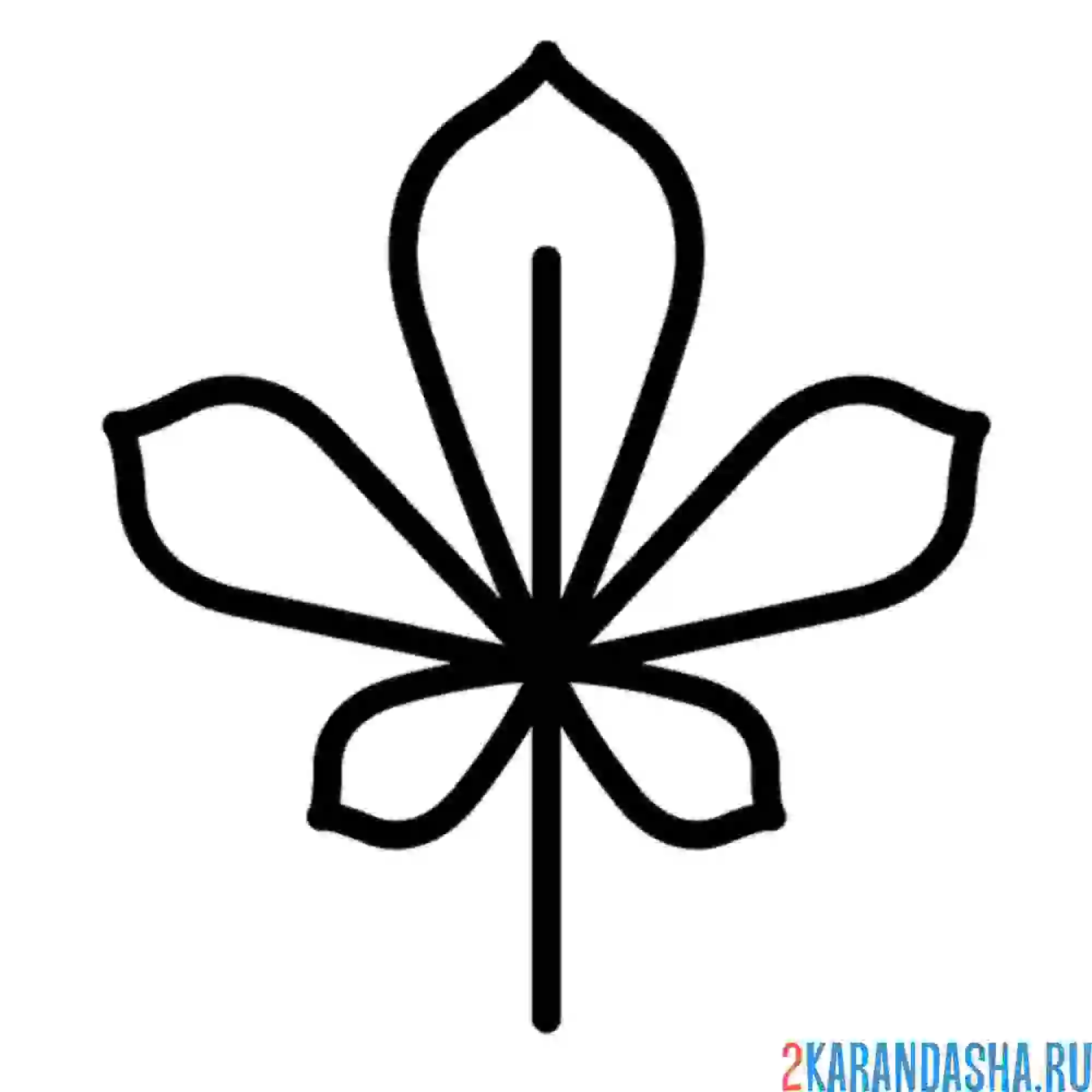 Раскраска каштан листок