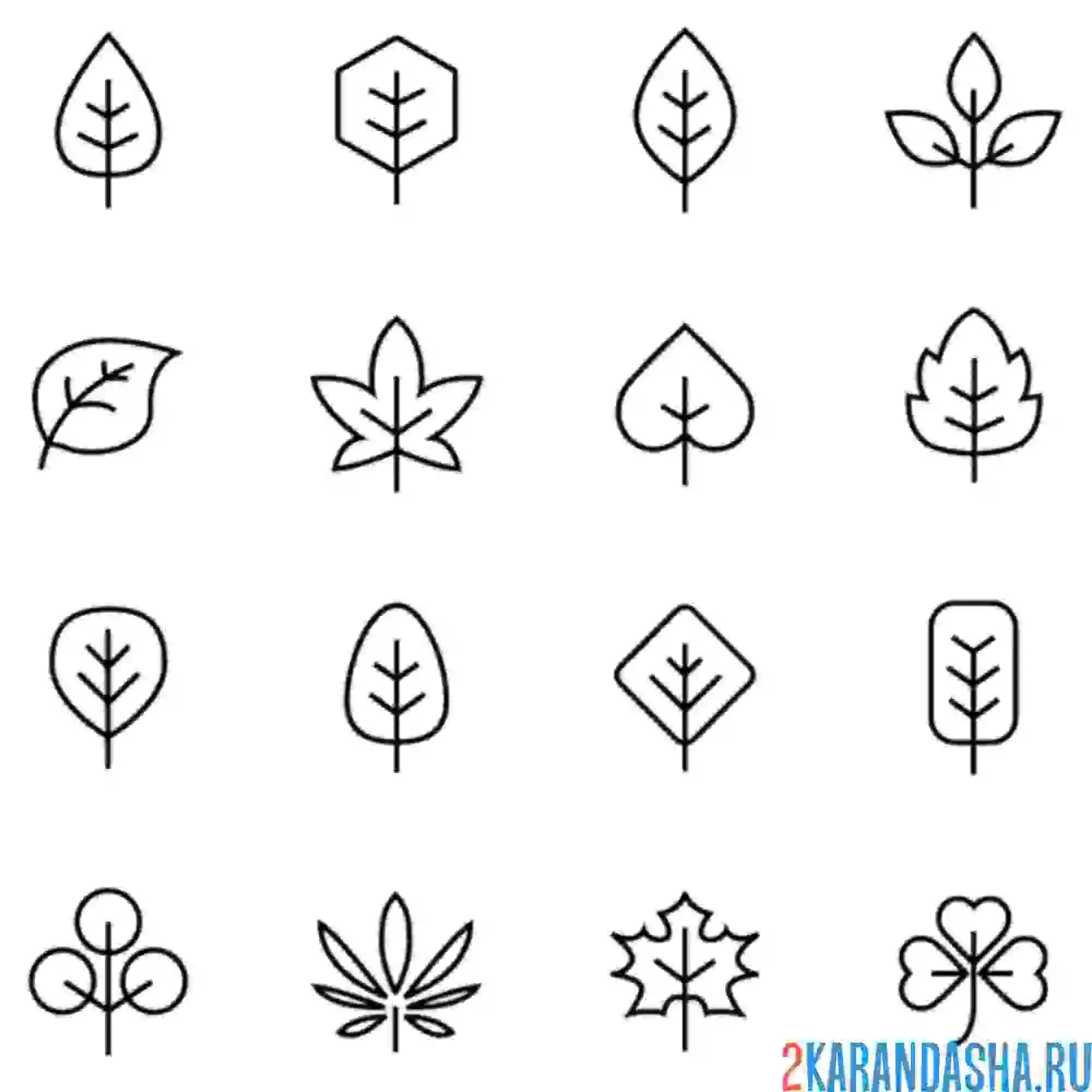 Раскраска иконки листьев